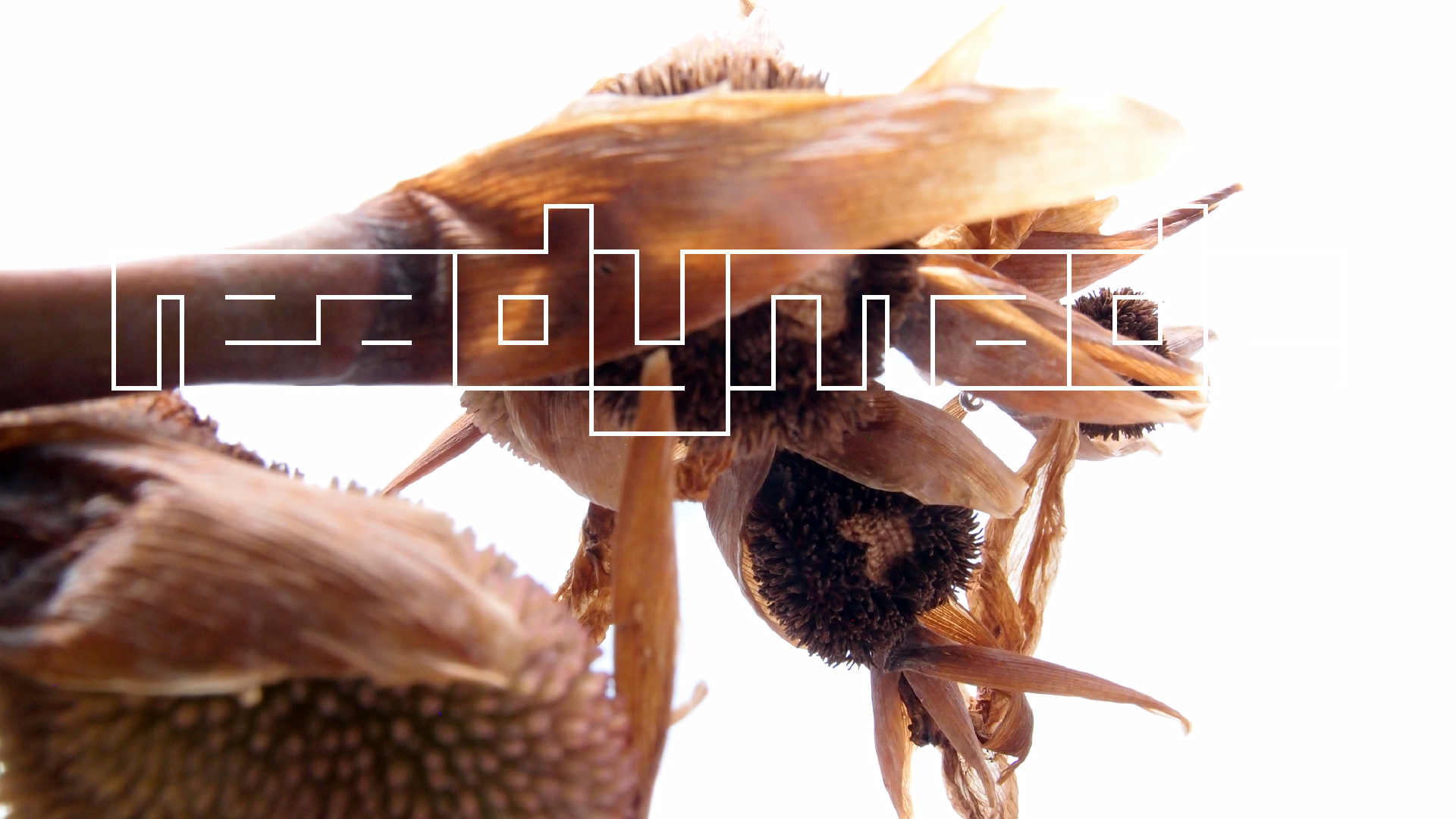 2022-04-17 Wind auf dem Meer (Audio, Foto, Video)