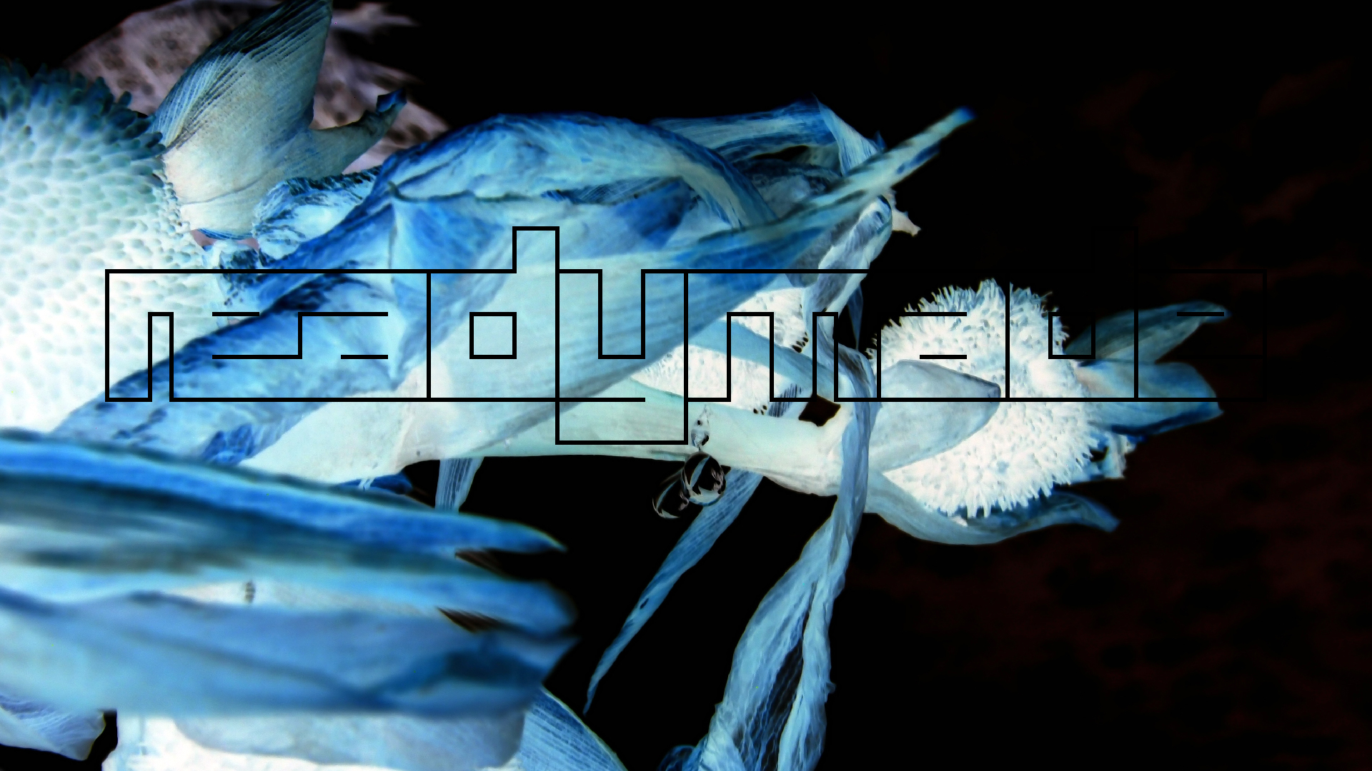 2022-04-17 Wind auf dem Meer (Audio, Foto, Video)