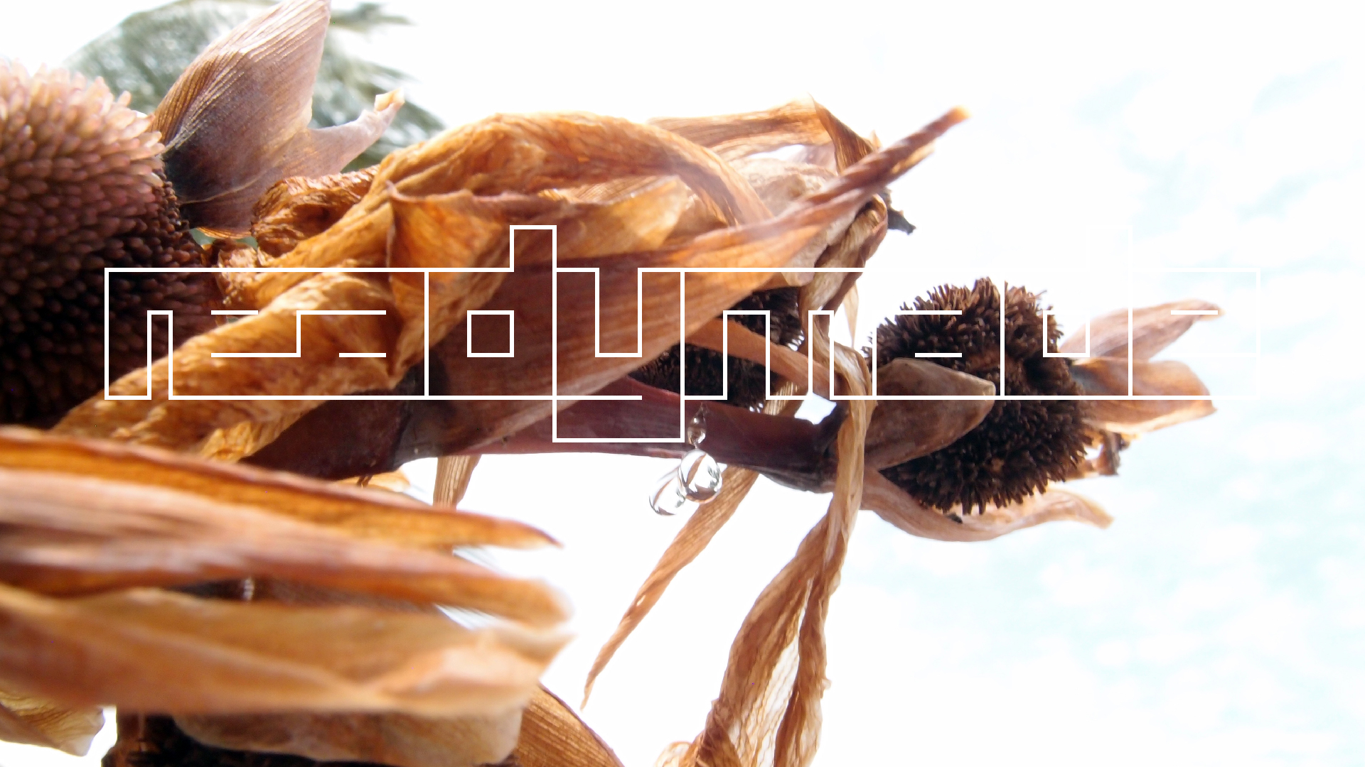 2022-04-17 Wind auf dem Meer (Audio, Foto, Video)