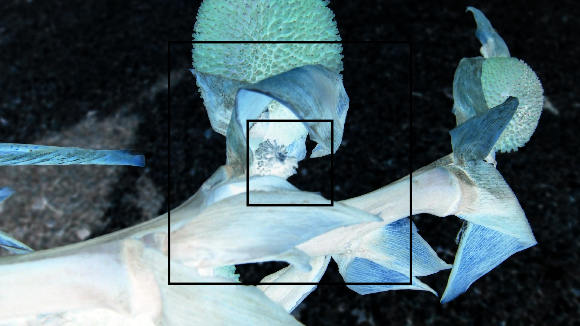 2022-04-17 Wind auf dem Meer (Audio, Foto, Video)