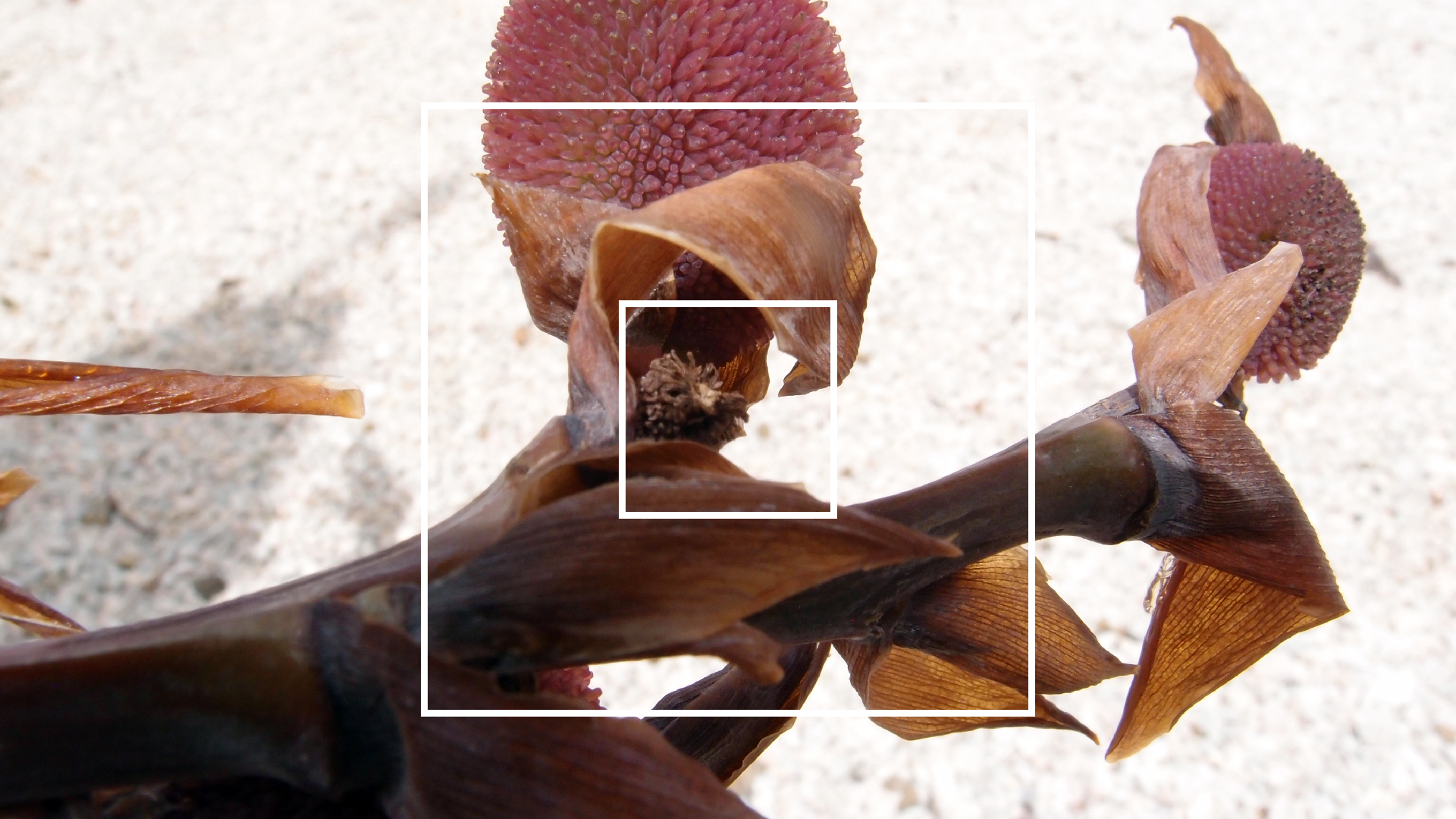 2022-04-17 Wind auf dem Meer (Audio, Foto, Video)