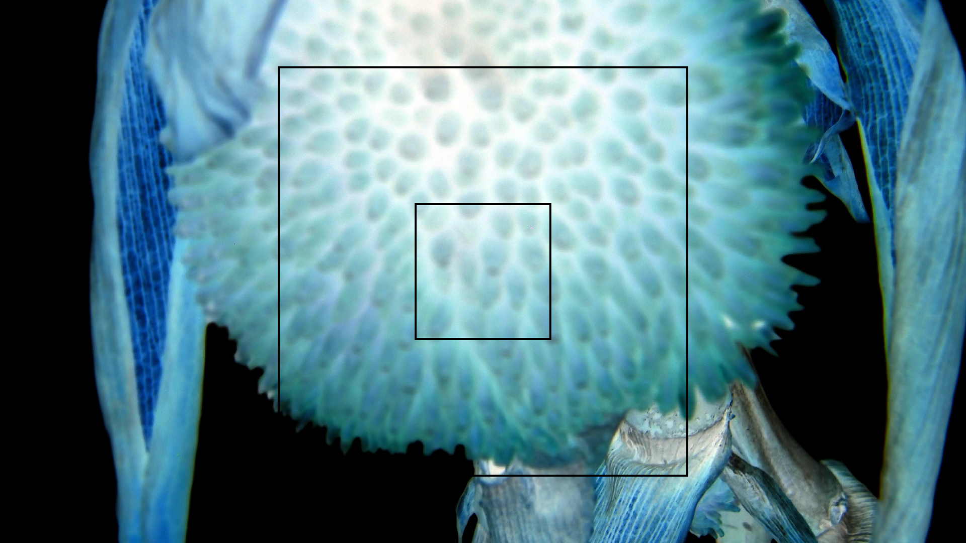 2022-04-17 Wind auf dem Meer (Audio, Foto, Video)