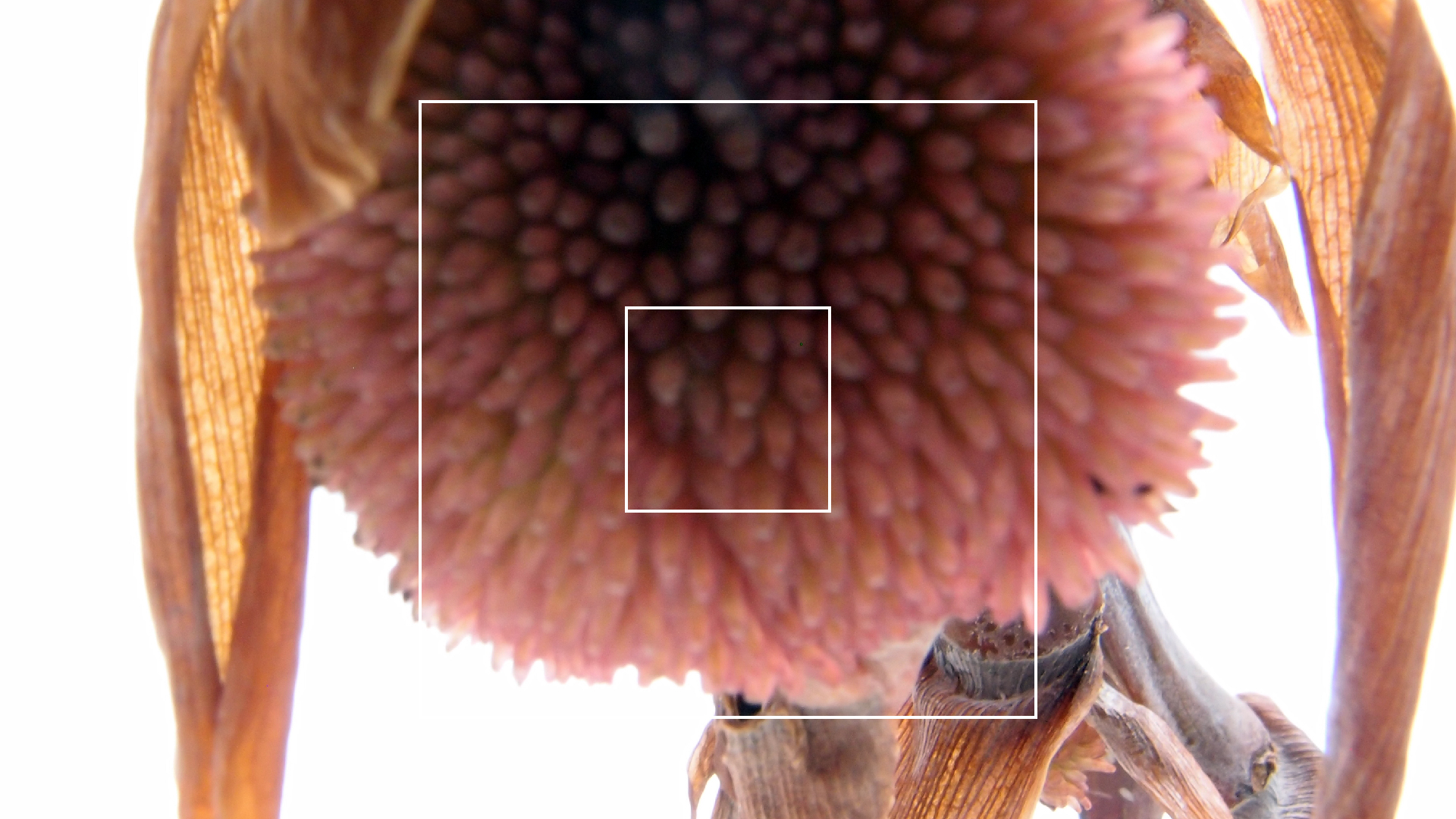 2022-04-17 Wind auf dem Meer (Audio, Foto, Video)