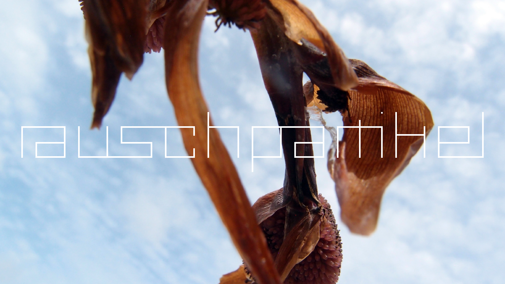 2022-04-17 Wind auf dem Meer (Audio, Foto, Video)