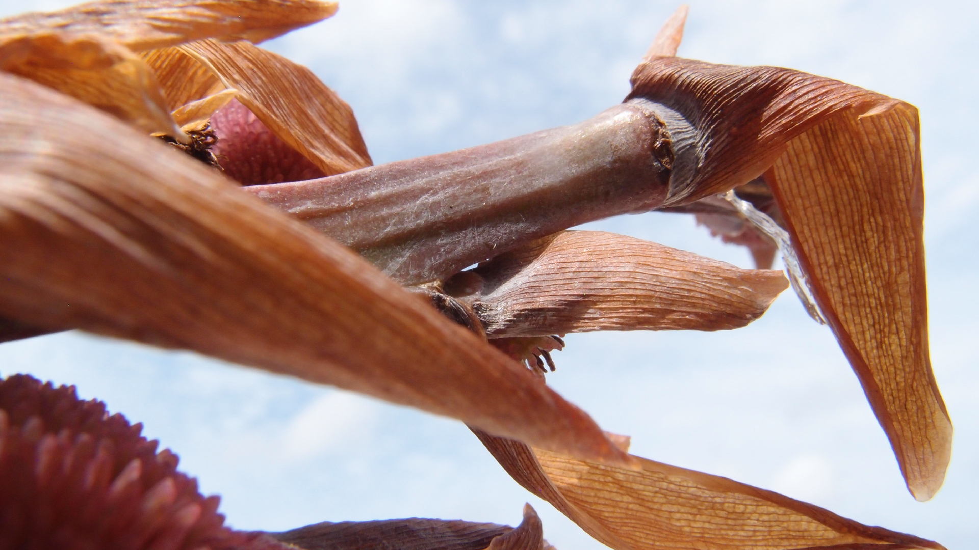 2022-04-17 Wind auf dem Meer (Audio, Foto, Video)