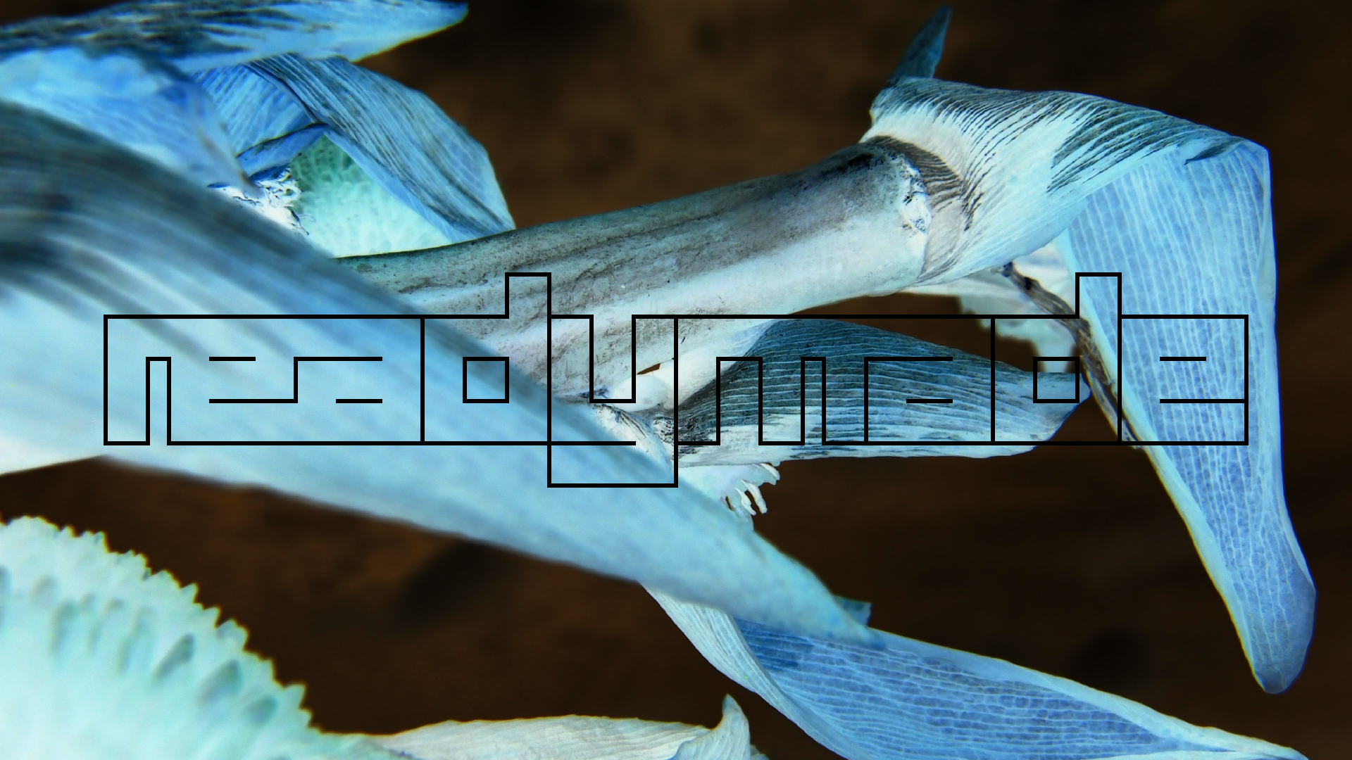 2022-04-17 Wind auf dem Meer (Audio, Foto, Video)