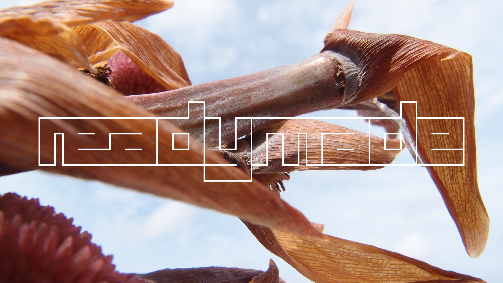 2022-04-17 Wind auf dem Meer (Audio, Foto, Video)