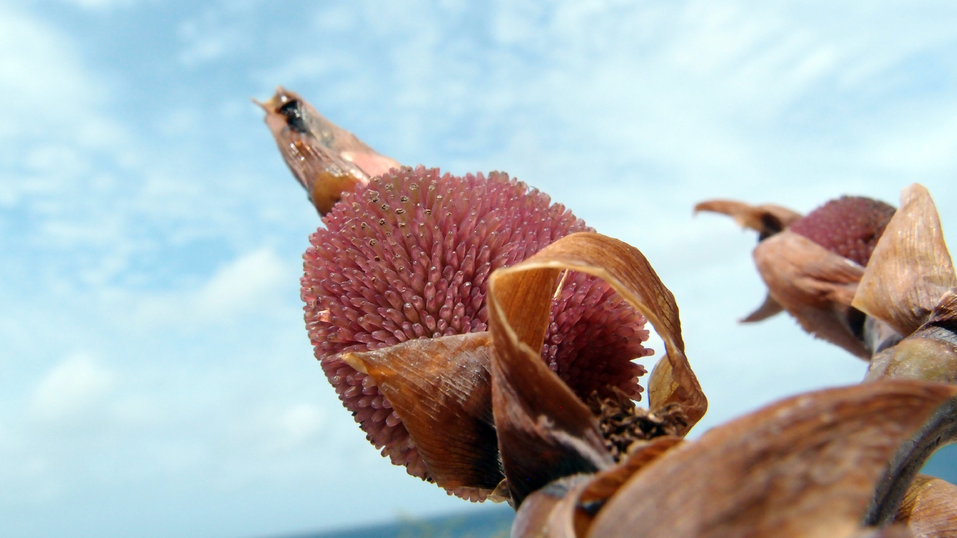 2022-04-17 Wind auf dem Meer (Audio, Foto, Video)
