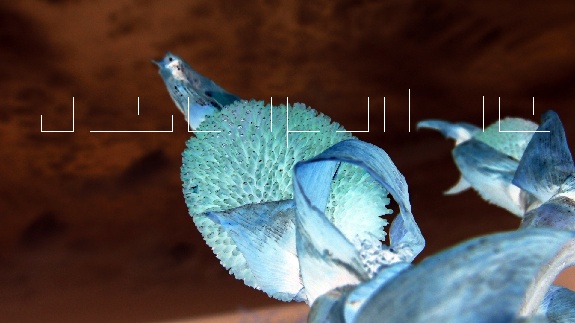 2022-04-17 Wind auf dem Meer (Audio, Foto, Video)