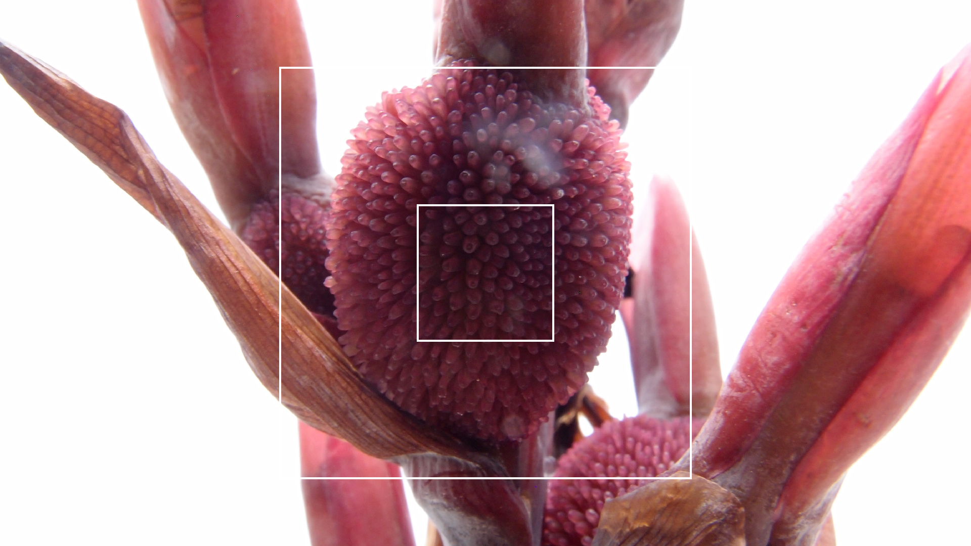 2022-04-17 Wind auf dem Meer (Audio, Foto, Video)