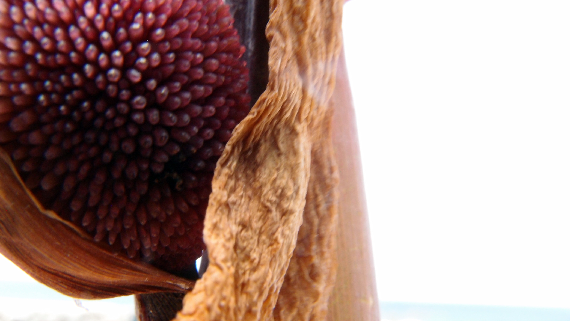 2022-04-17 Wind auf dem Meer (Audio, Foto, Video)