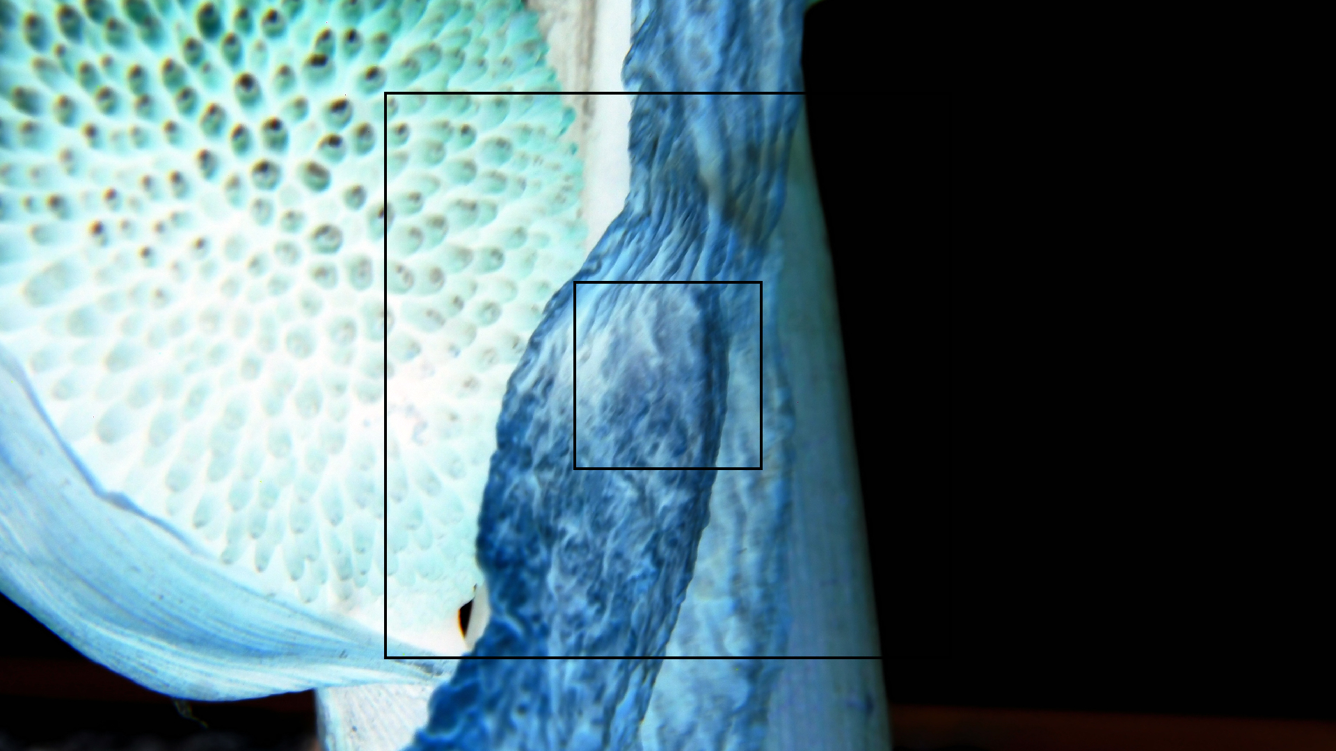 2022-04-17 Wind auf dem Meer (Audio, Foto, Video)