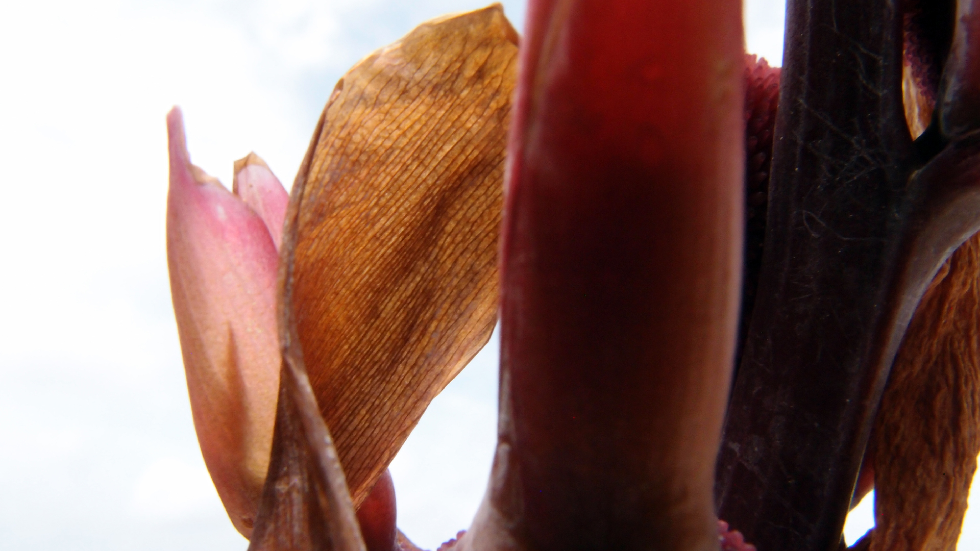 2022-04-17 Wind auf dem Meer (Audio, Foto, Video)