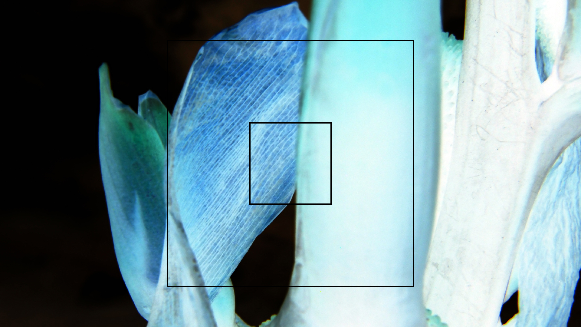 2022-04-17 Wind auf dem Meer (Audio, Foto, Video)