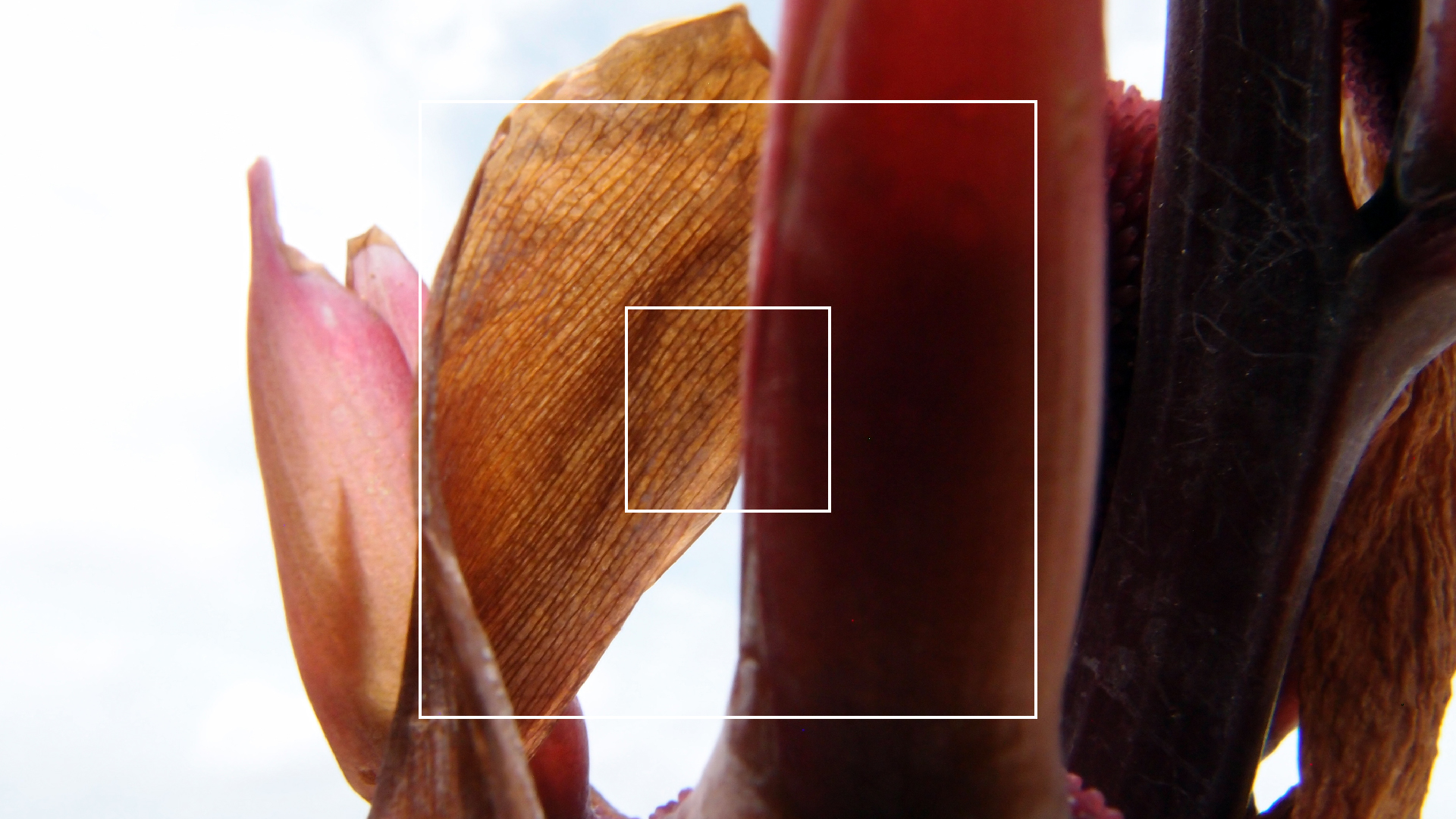 2022-04-17 Wind auf dem Meer (Audio, Foto, Video)