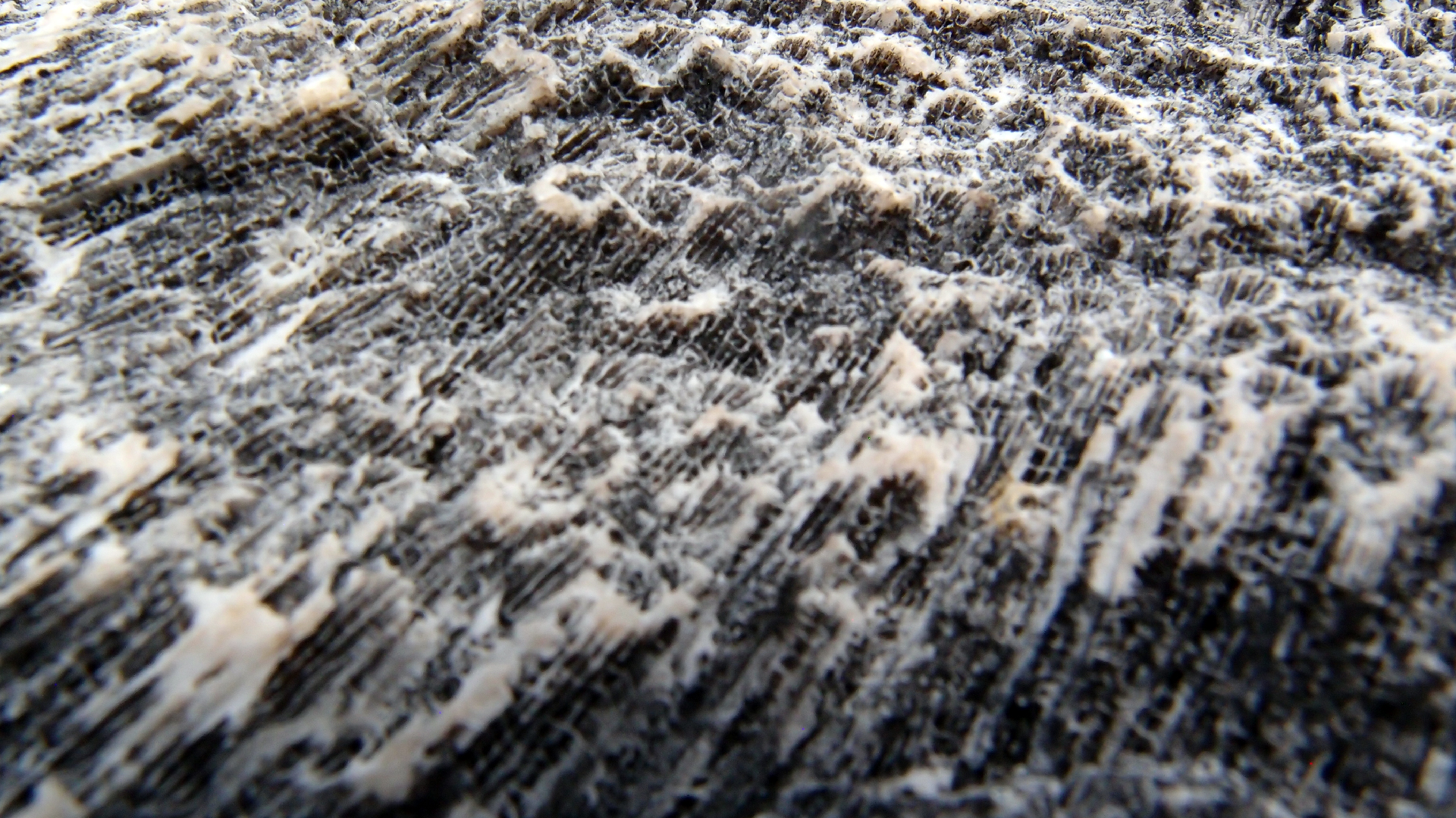 2022-04-17 Wind auf dem Meer (Audio, Foto, Video)