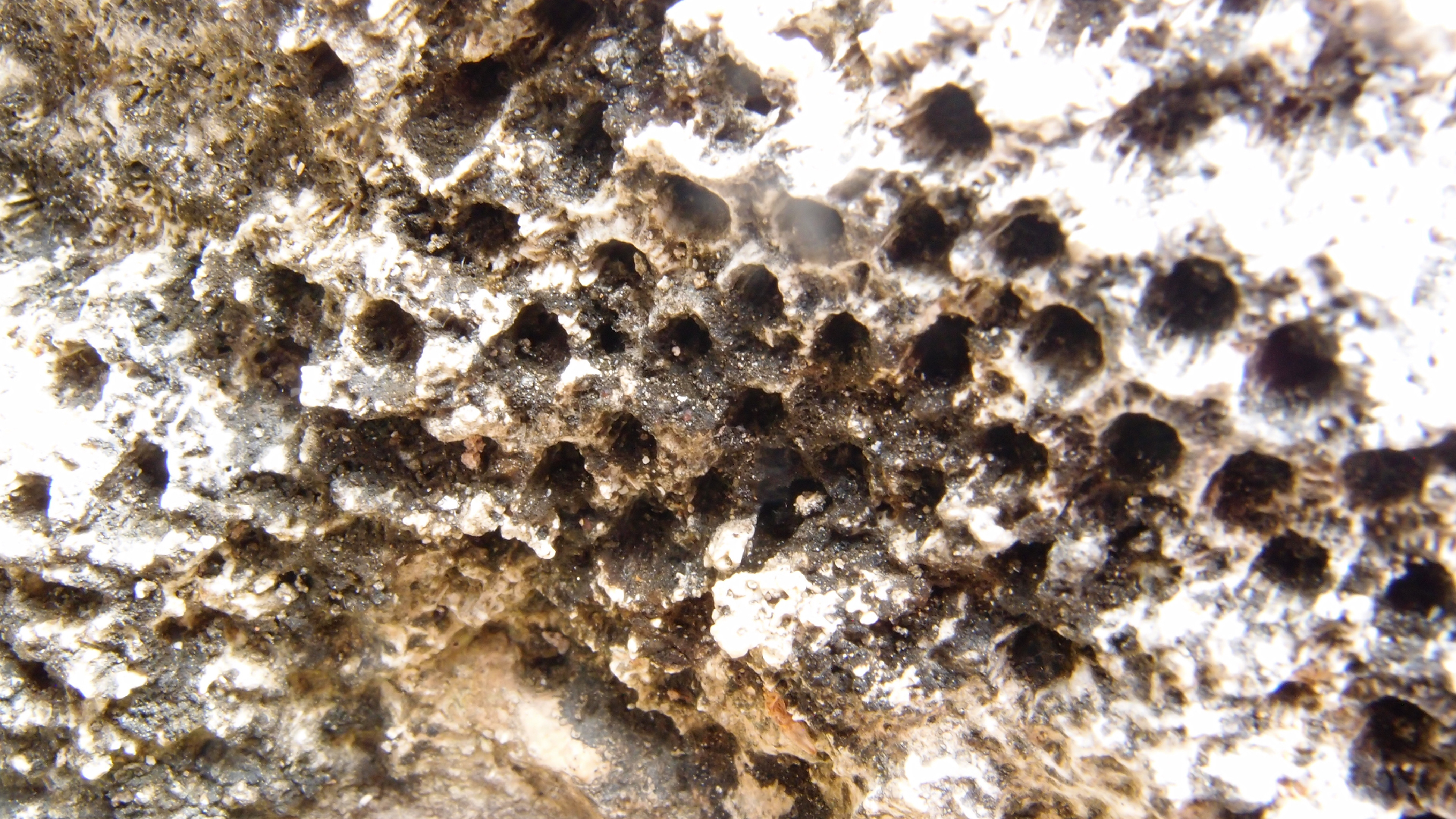 2022-04-17 Wind auf dem Meer (Audio, Foto, Video)