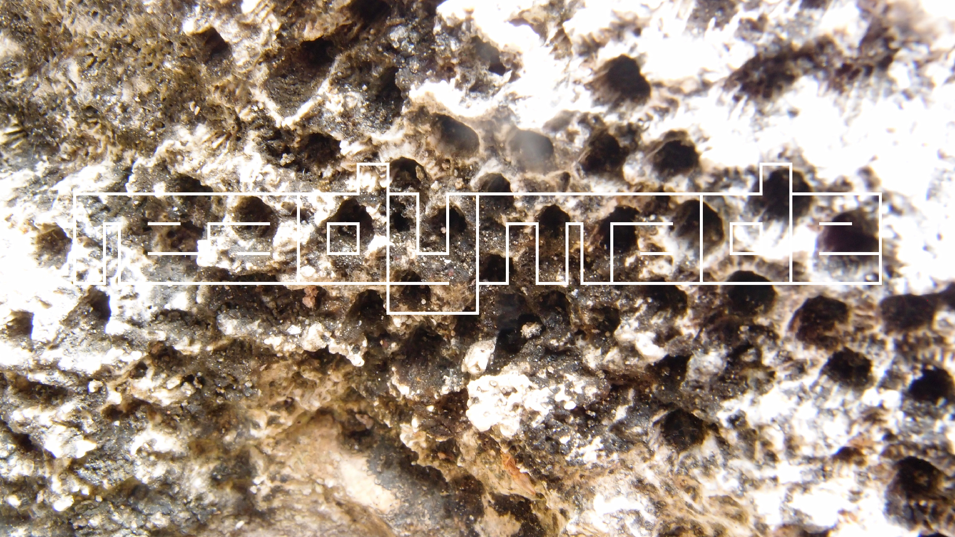 2022-04-17 Wind auf dem Meer (Audio, Foto, Video)