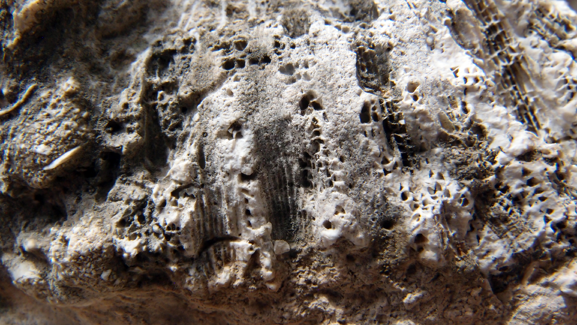 2022-04-17 Wind auf dem Meer (Audio, Foto, Video)