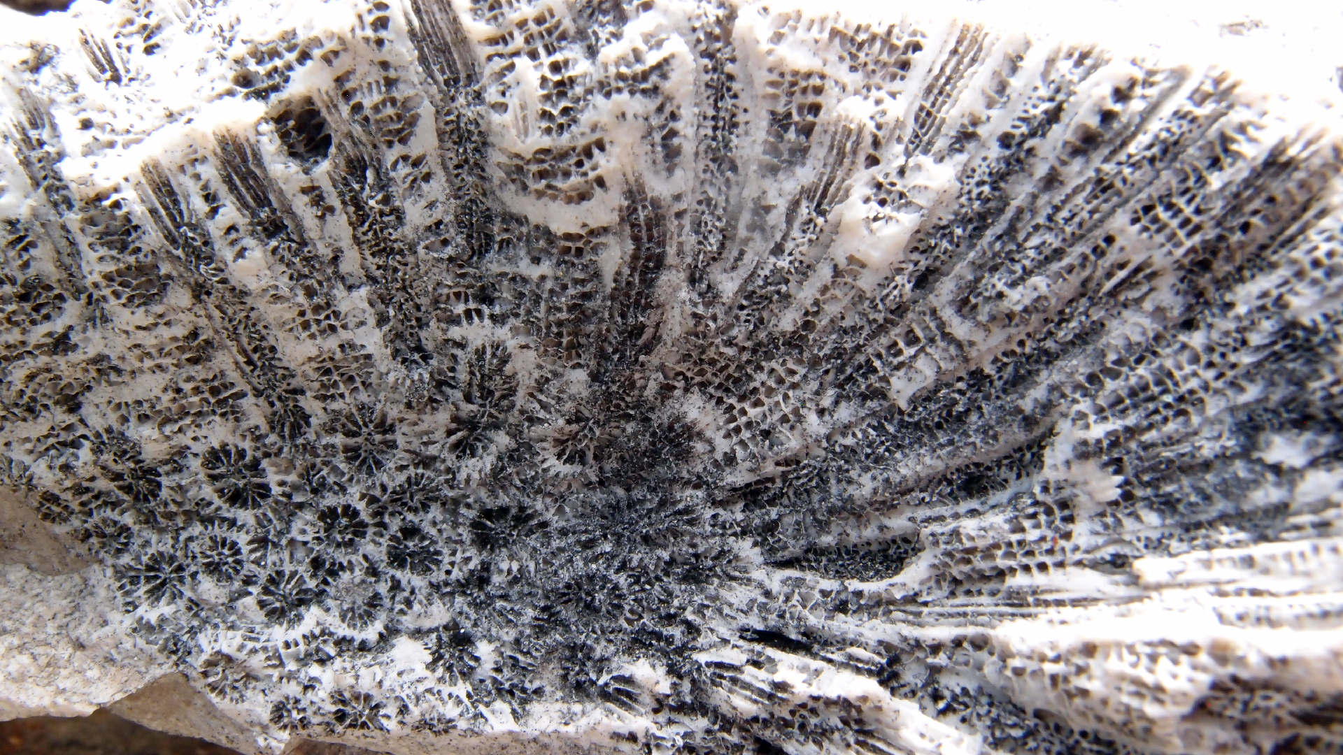 2022-04-17 Wind auf dem Meer (Audio, Foto, Video)