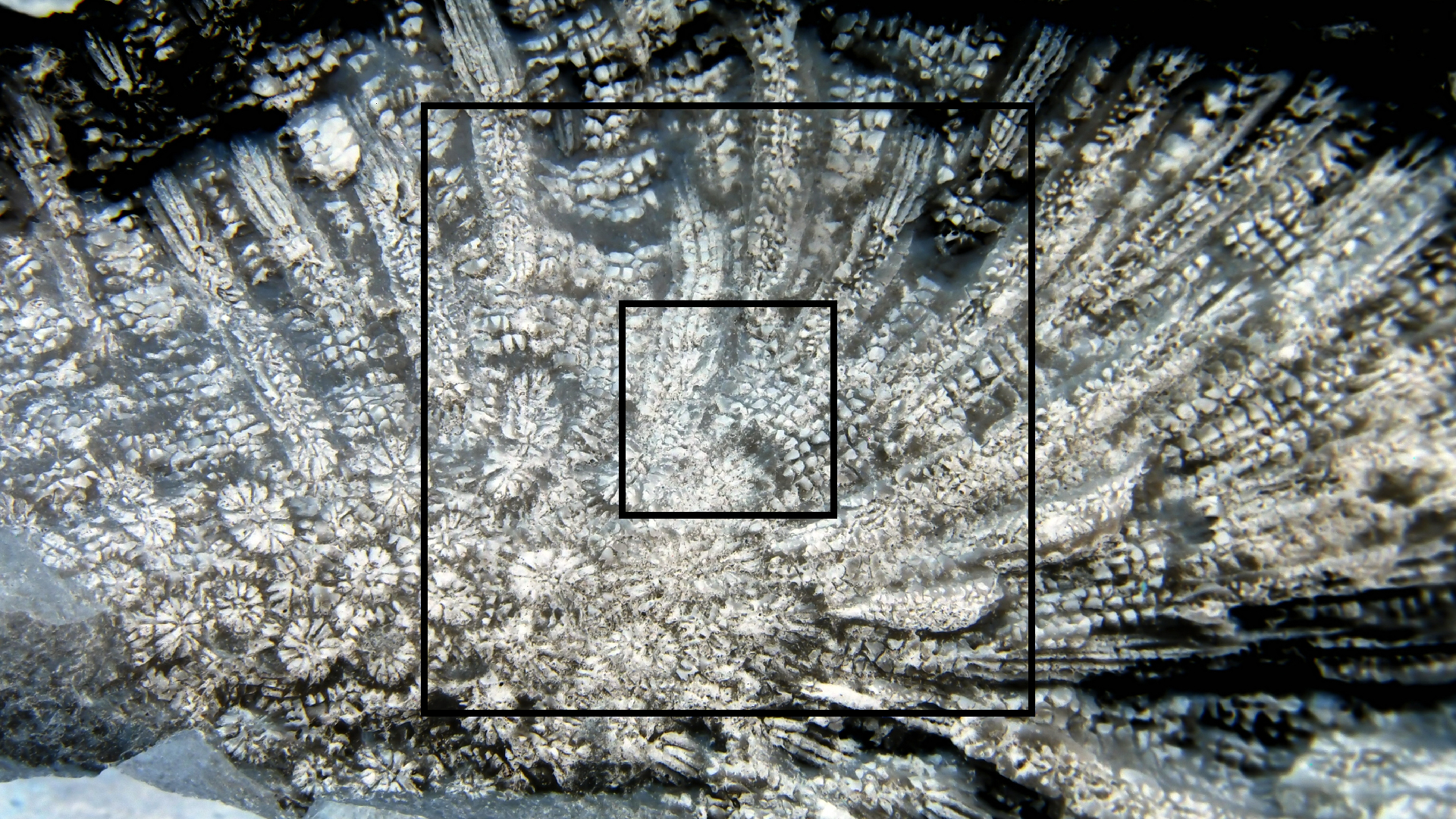 2022-04-17 Wind auf dem Meer (Audio, Foto, Video)