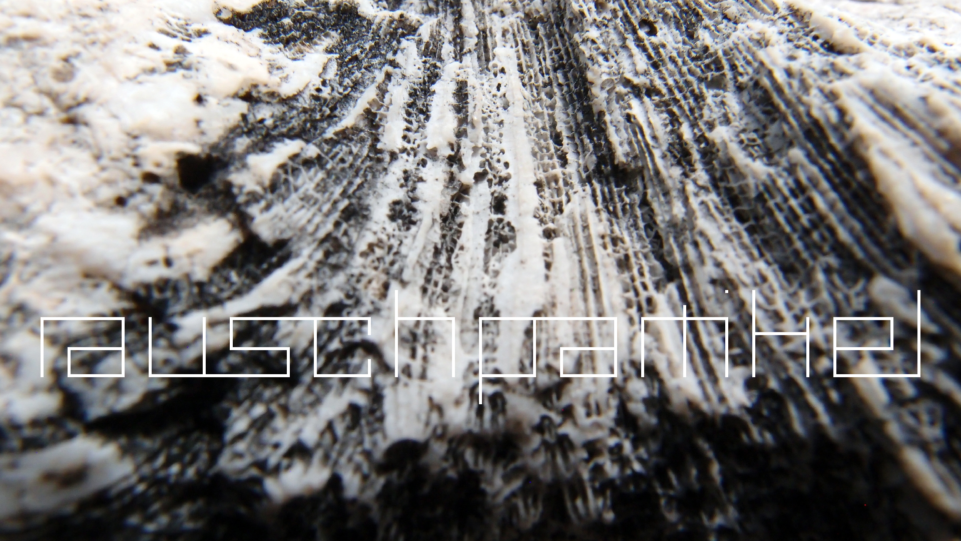 2022-04-17 Wind auf dem Meer (Audio, Foto, Video)