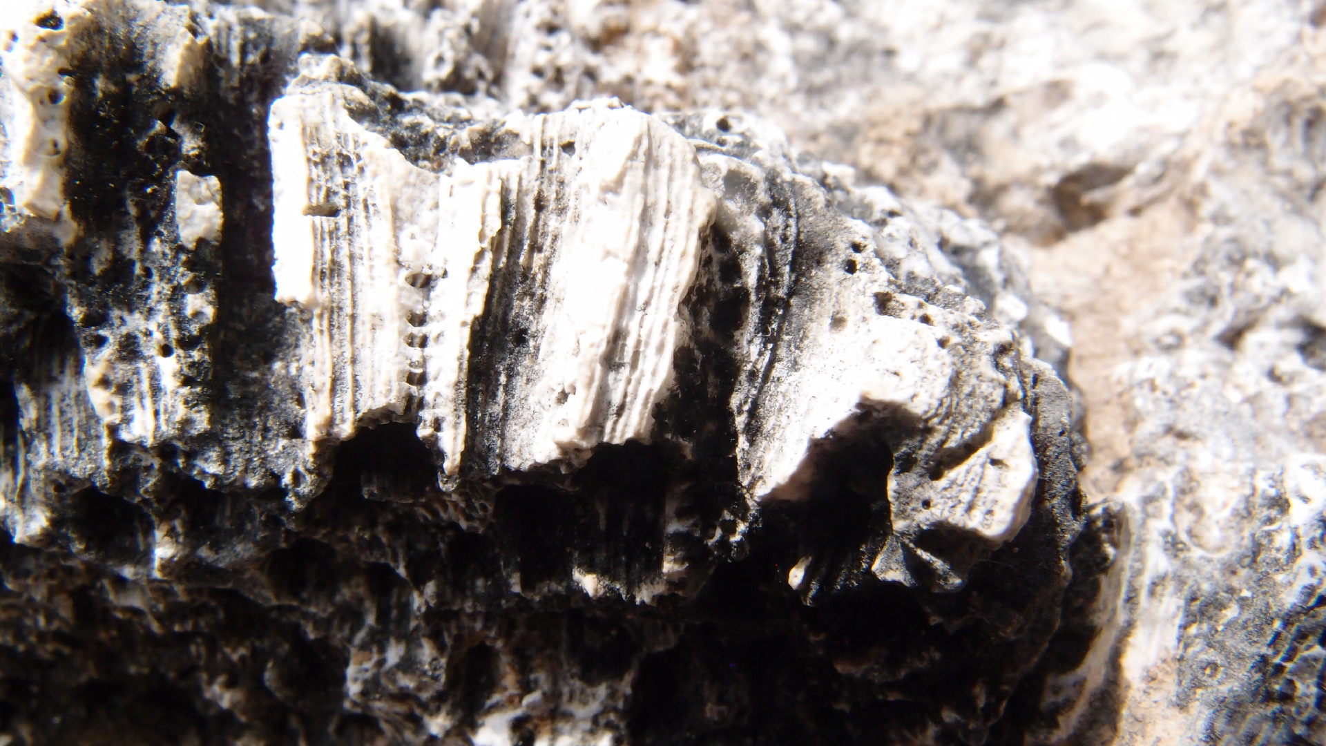 2022-04-17 Wind auf dem Meer (Audio, Foto, Video)