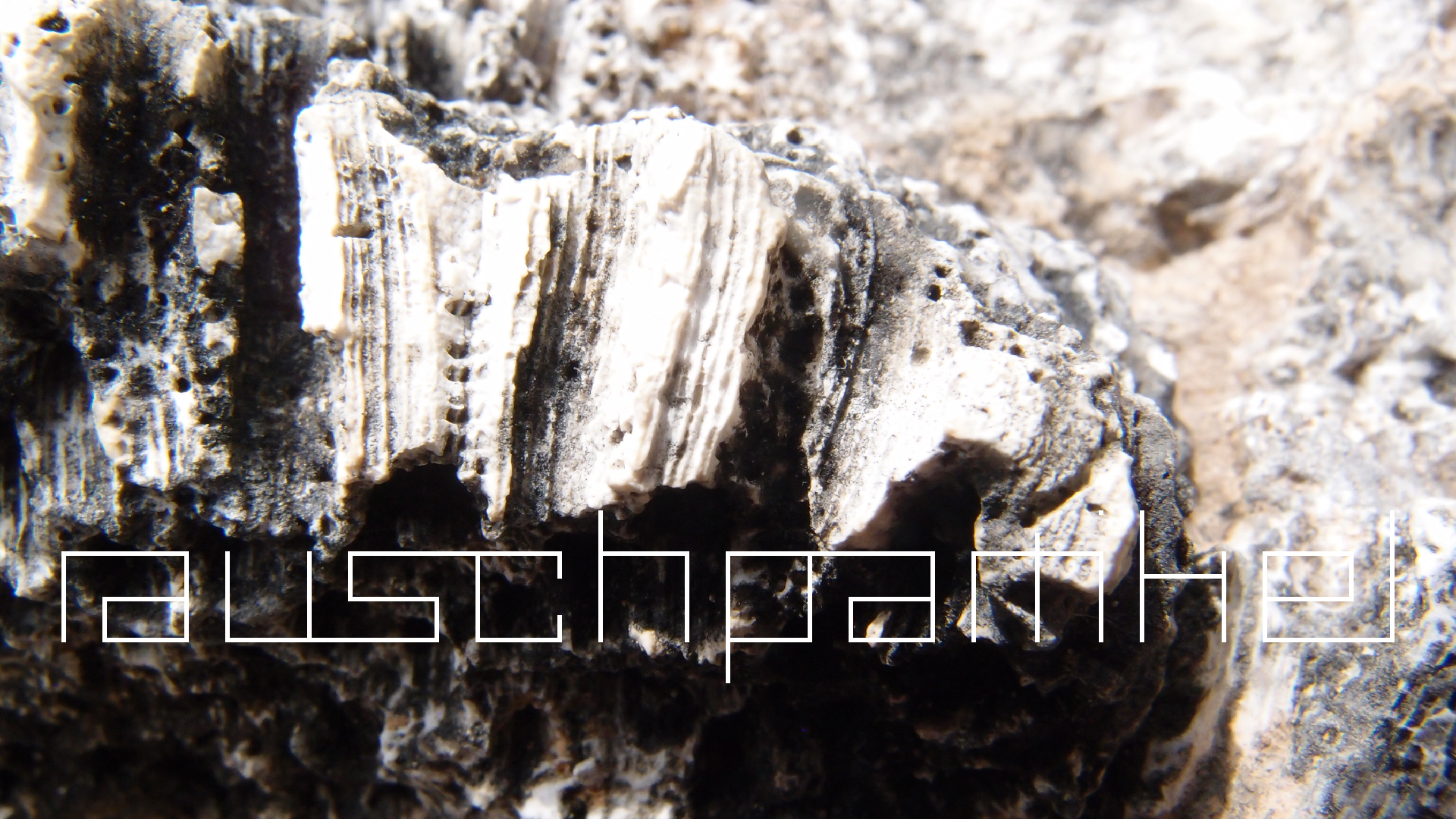 2022-04-17 Wind auf dem Meer (Audio, Foto, Video)