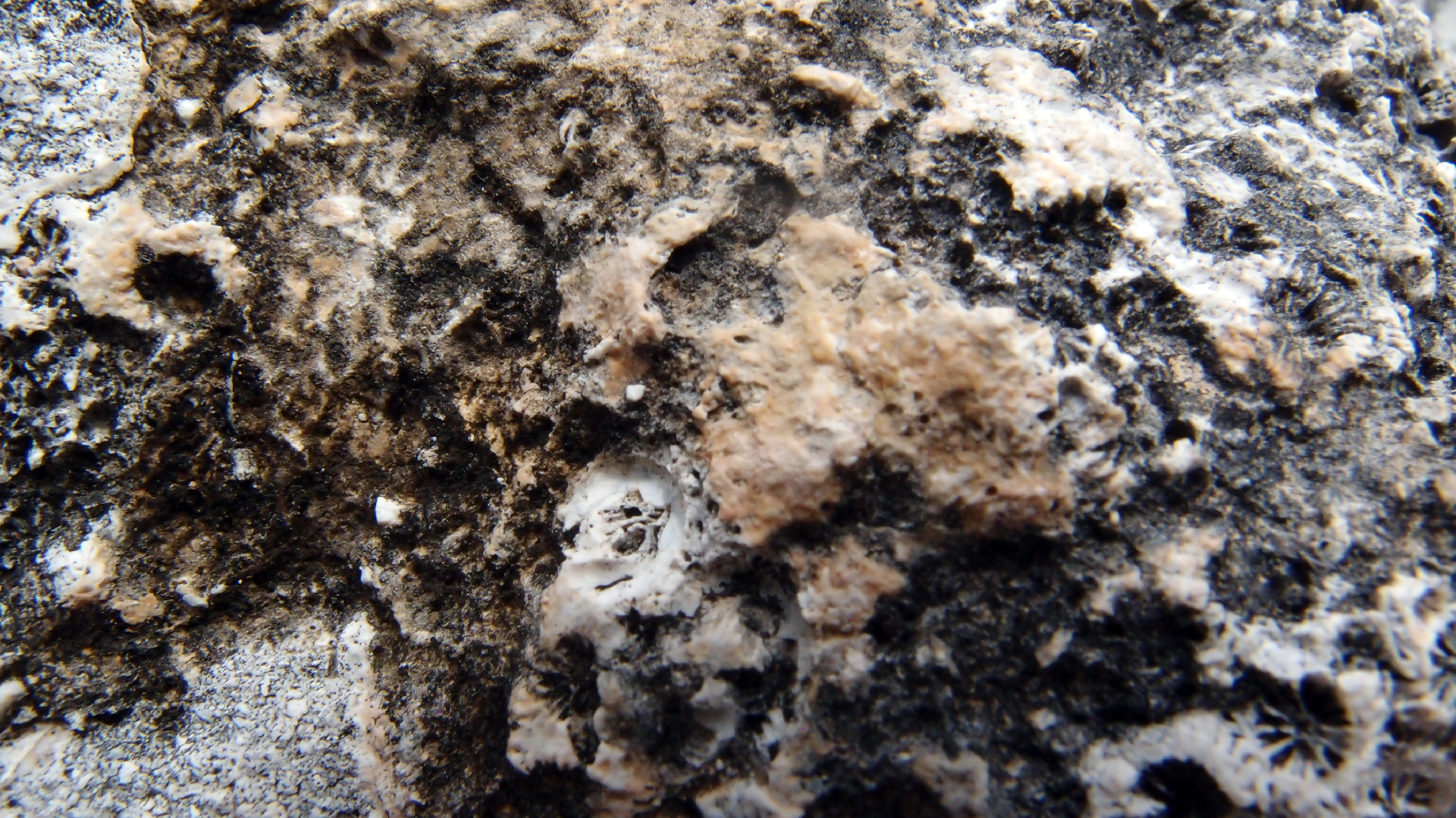 2022-04-17 Wind auf dem Meer (Audio, Foto, Video)