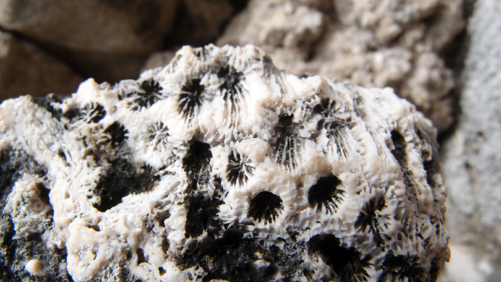 2022-04-17 Wind auf dem Meer (Audio, Foto, Video)