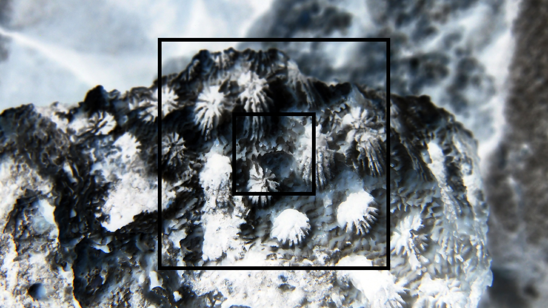 2022-04-17 Wind auf dem Meer (Audio, Foto, Video)