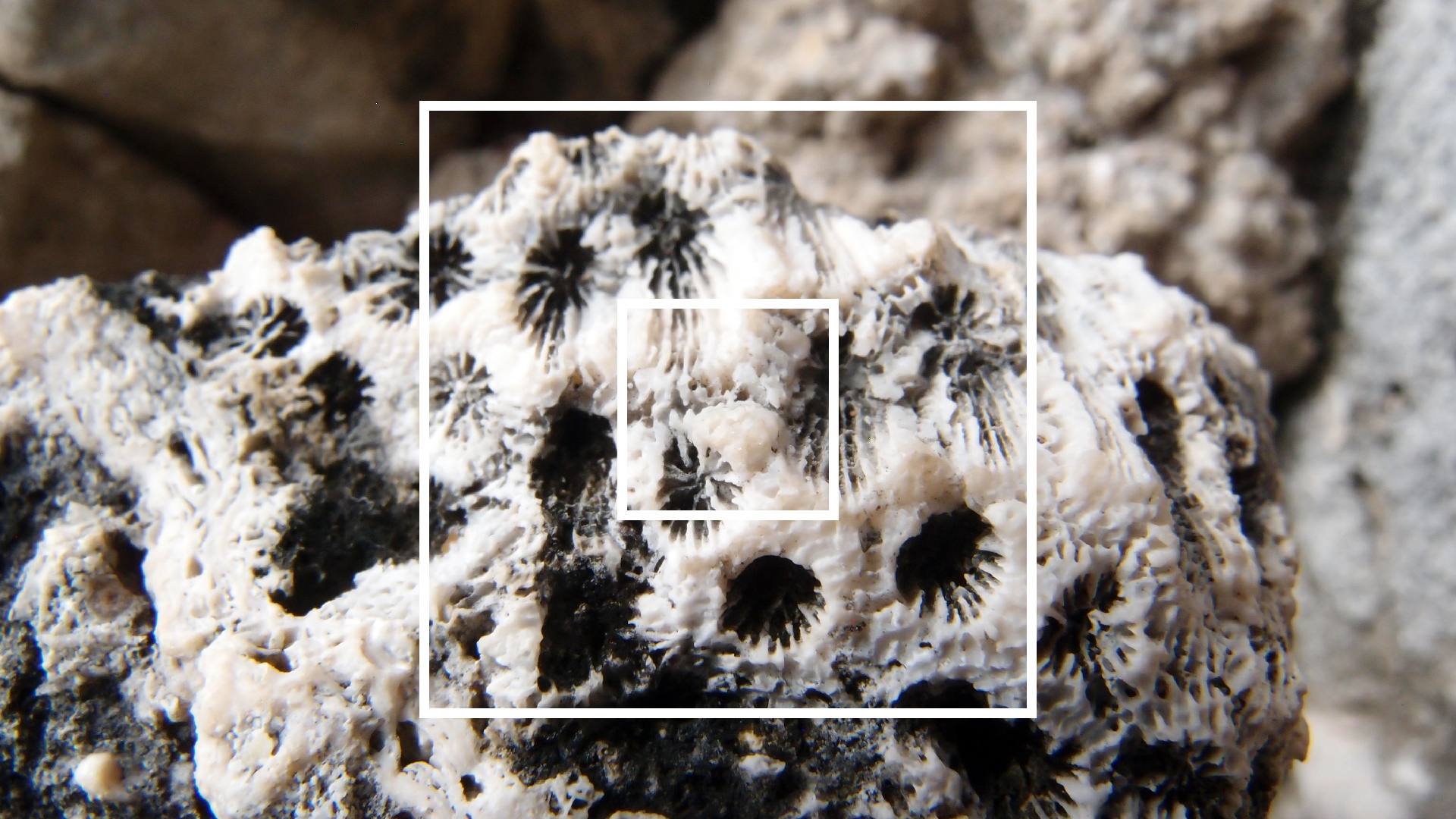 2022-04-17 Wind auf dem Meer (Audio, Foto, Video)