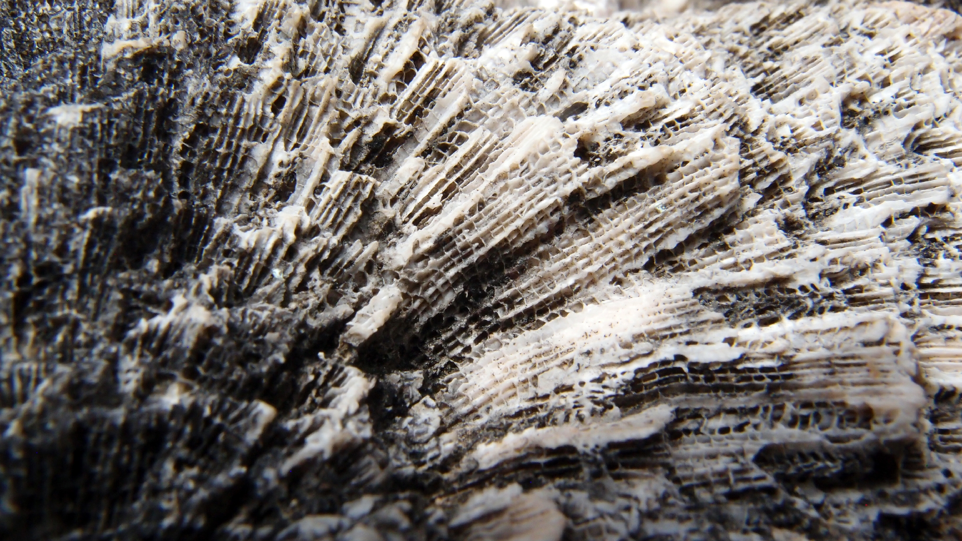 2022-04-17 Wind auf dem Meer (Audio, Foto, Video)