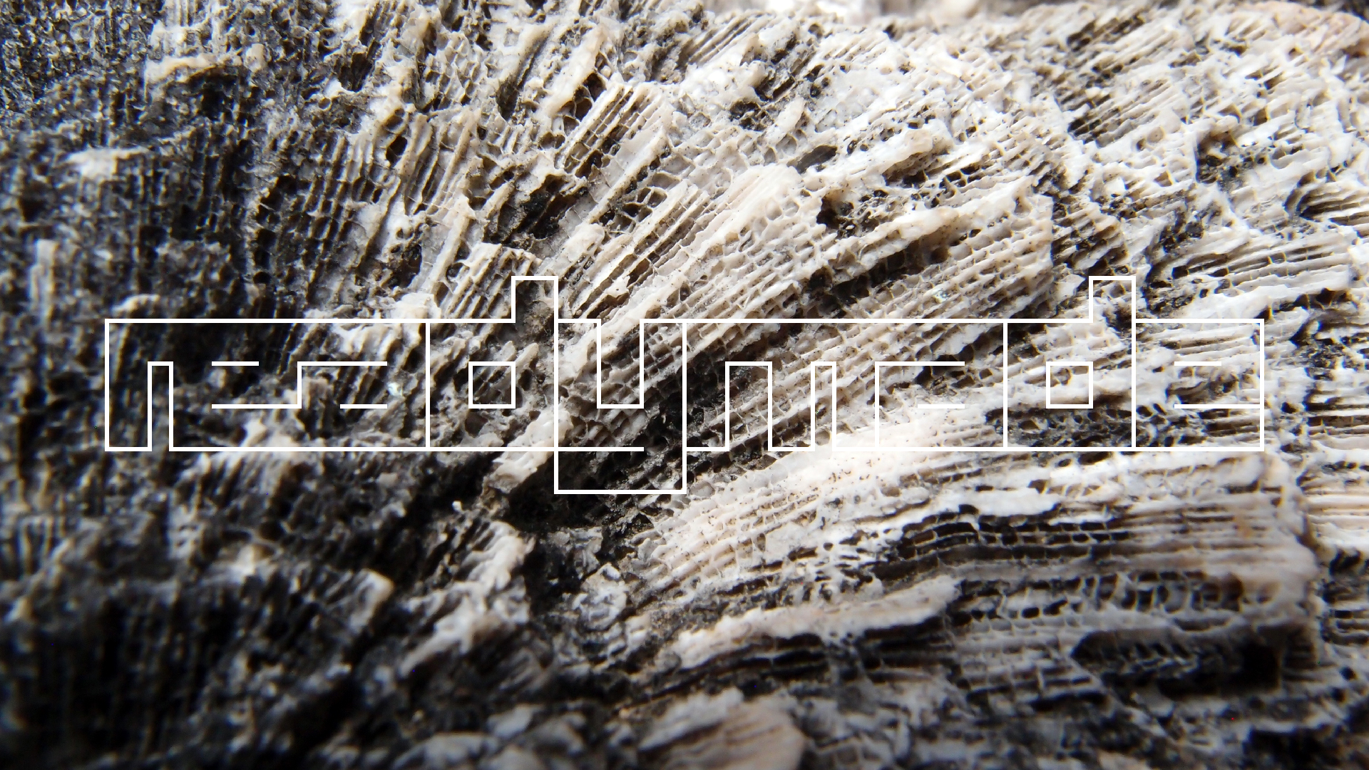 2022-04-17 Wind auf dem Meer (Audio, Foto, Video)