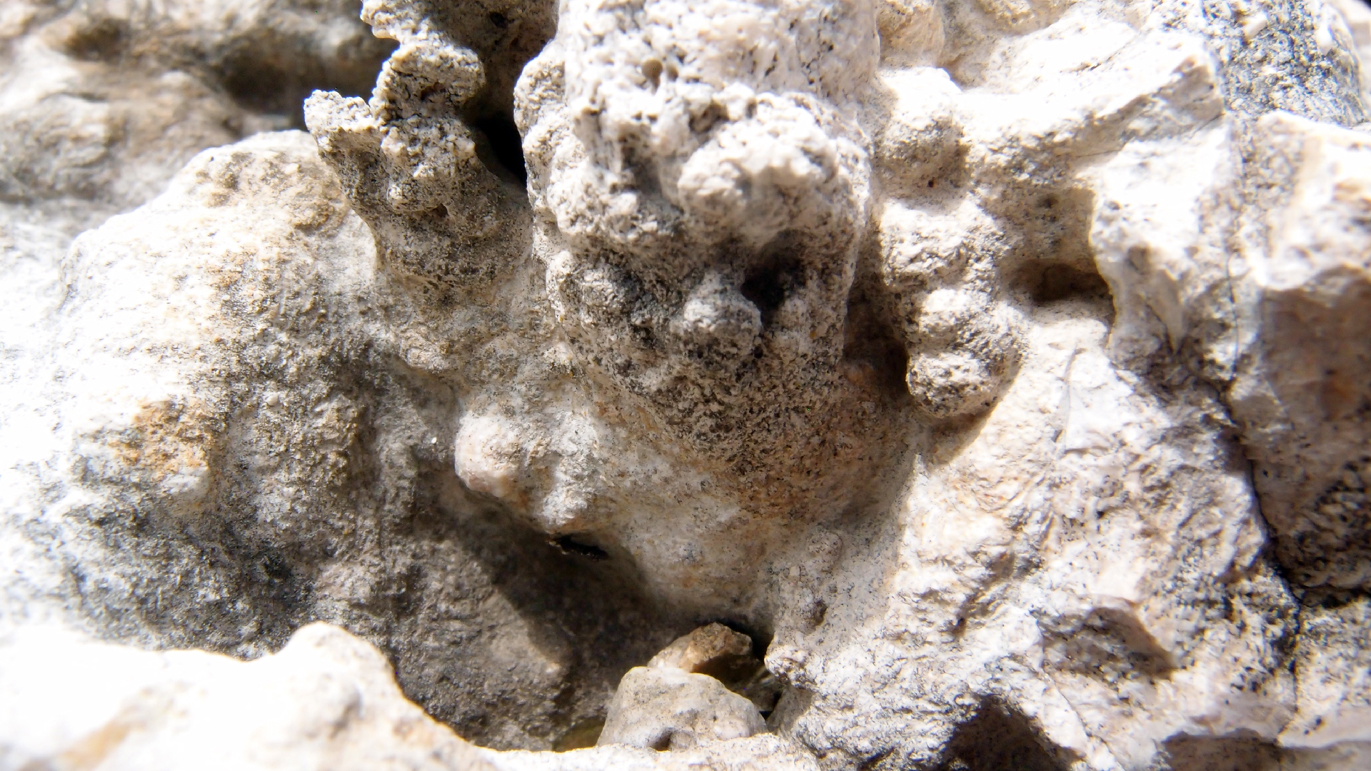 2022-04-17 Wind auf dem Meer (Audio, Foto, Video)