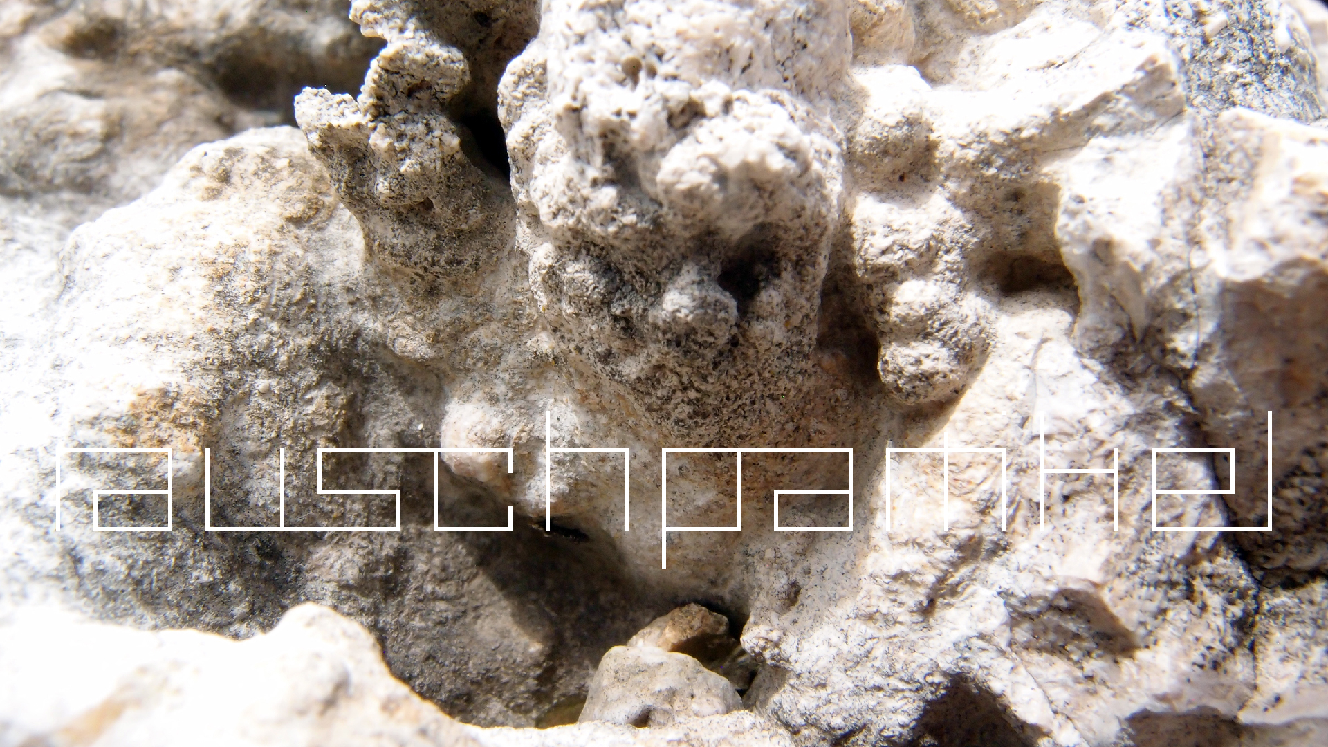 2022-04-17 Wind auf dem Meer (Audio, Foto, Video)