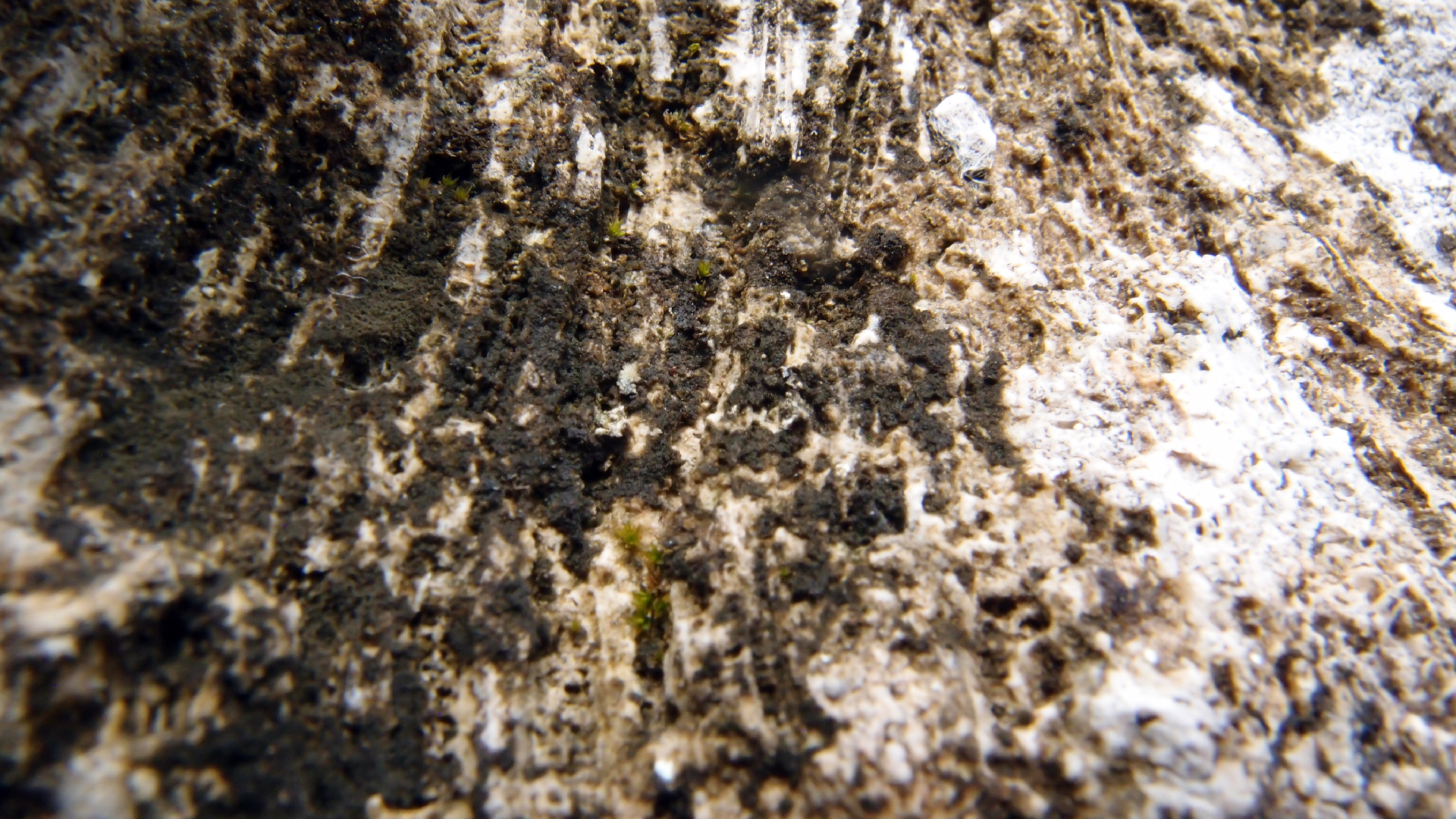 2022-04-17 Wind auf dem Meer (Audio, Foto, Video)