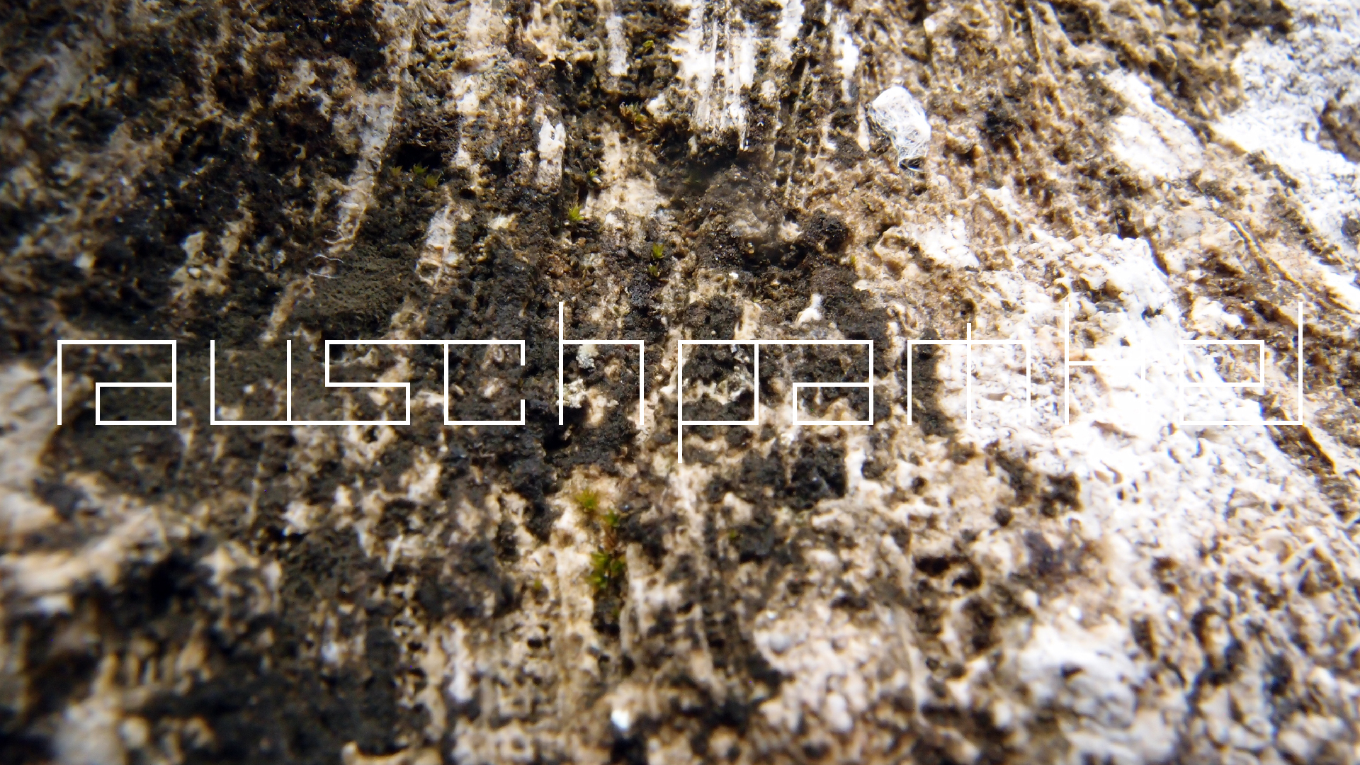 2022-04-17 Wind auf dem Meer (Audio, Foto, Video)