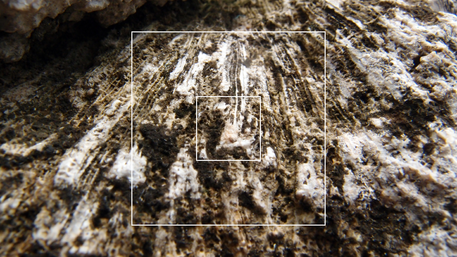 2022-04-17 Wind auf dem Meer (Audio, Foto, Video)