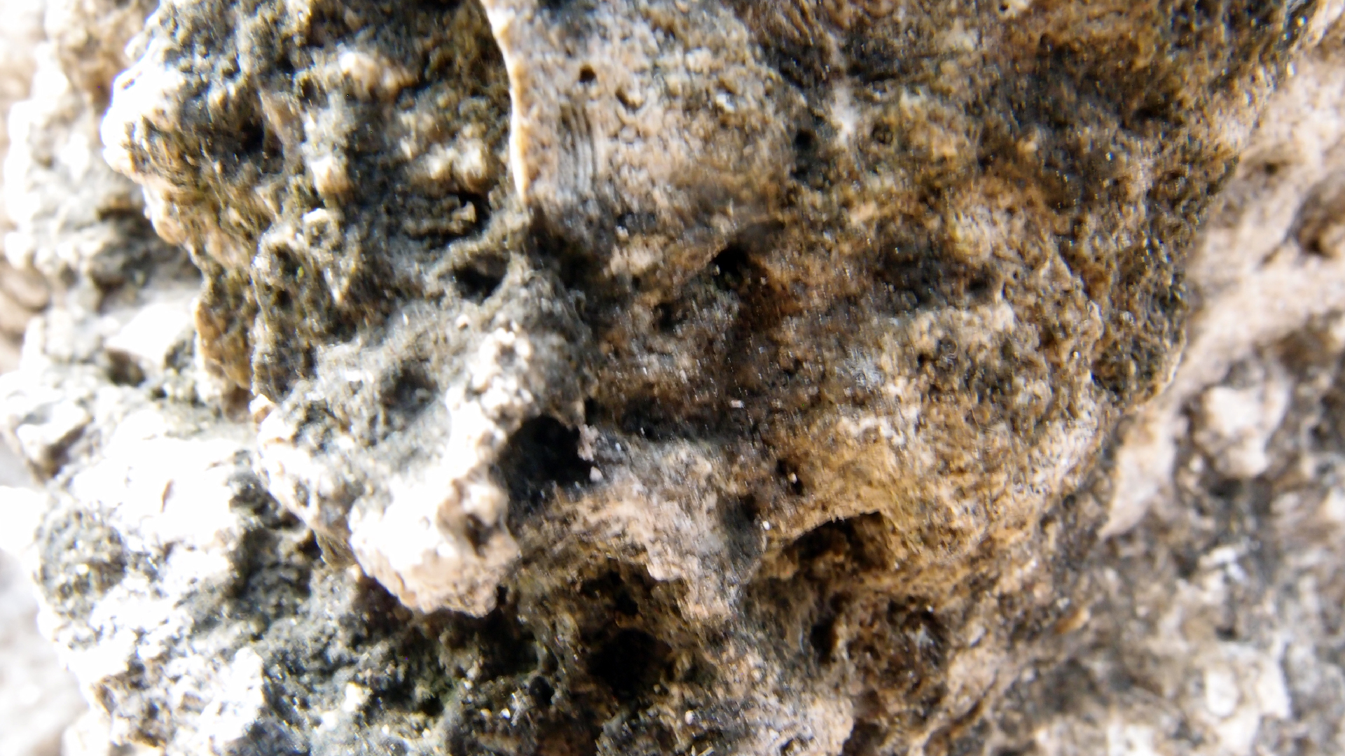 2022-04-17 Wind auf dem Meer (Audio, Foto, Video)