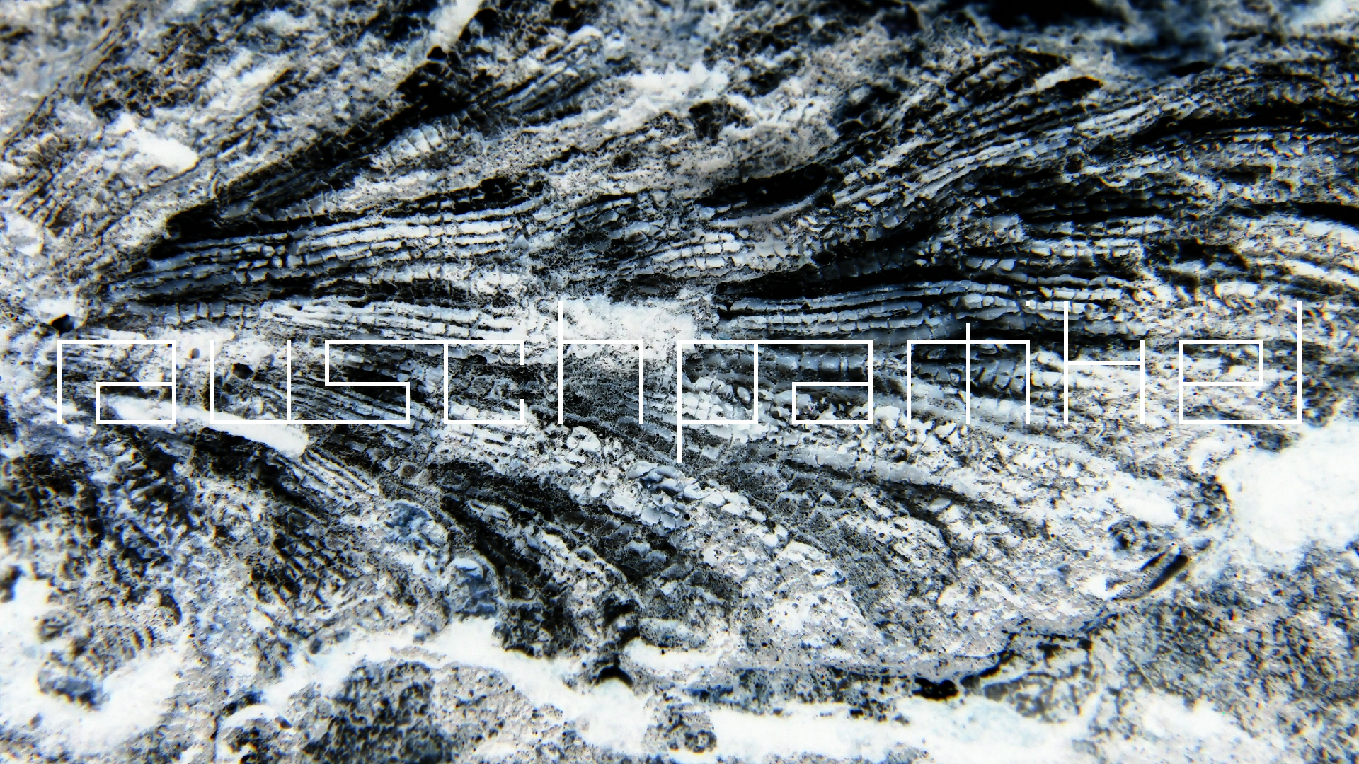 2022-04-17 Wind auf dem Meer (Audio, Foto, Video)