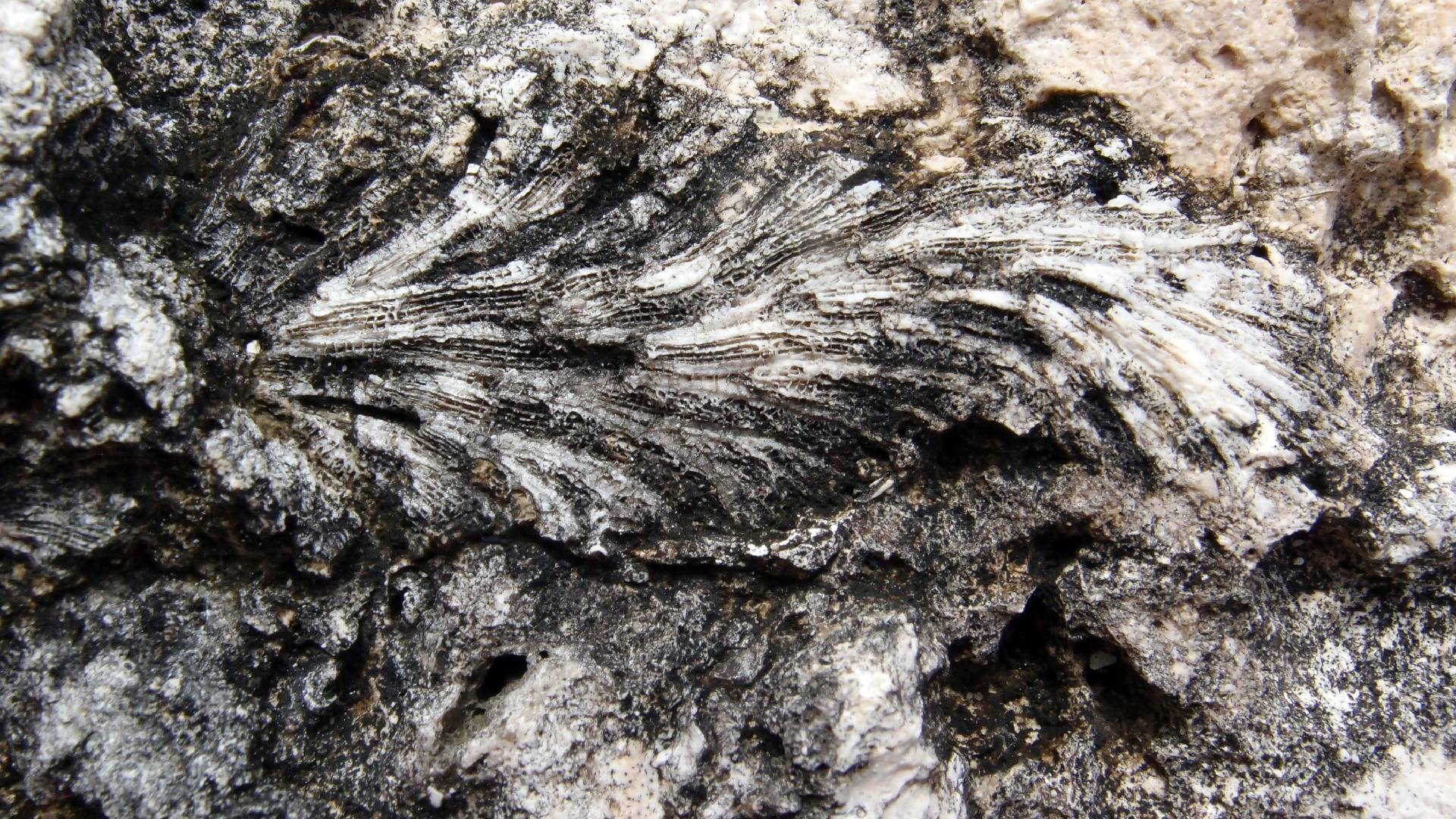 2022-04-17 Wind auf dem Meer (Audio, Foto, Video)