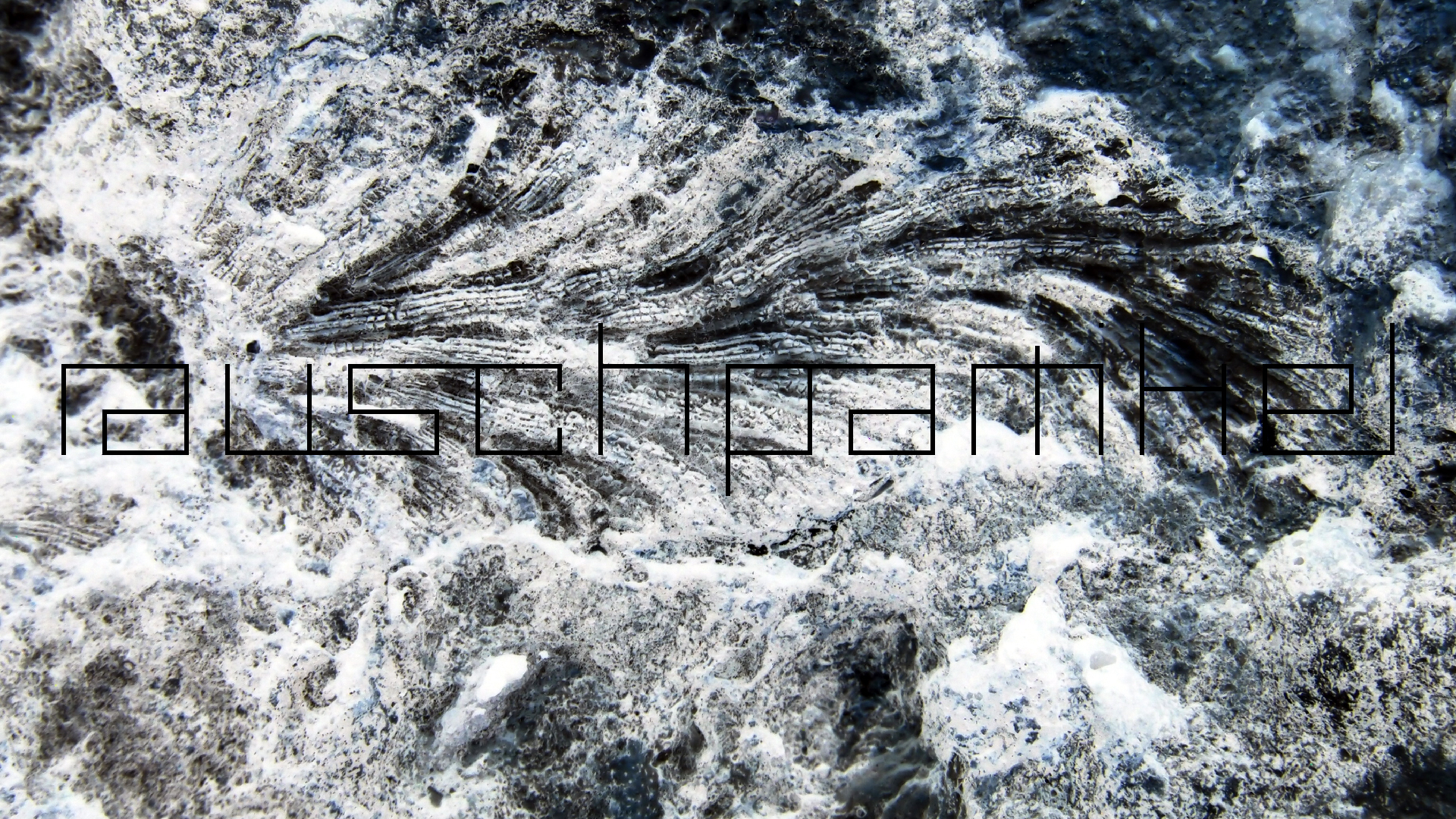 2022-04-17 Wind auf dem Meer (Audio, Foto, Video)