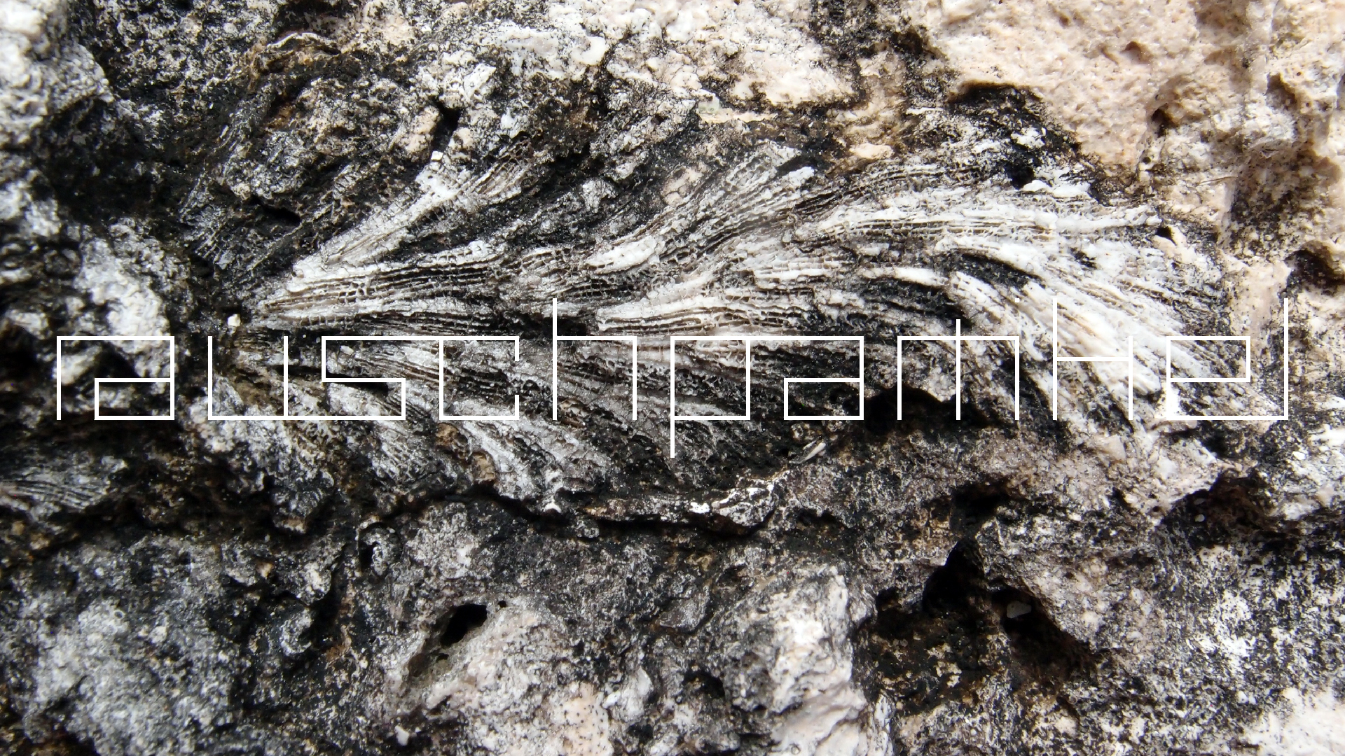 2022-04-17 Wind auf dem Meer (Audio, Foto, Video)