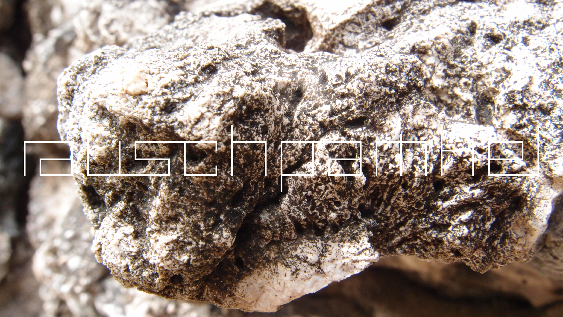 2022-04-17 Wind auf dem Meer (Audio, Foto, Video)