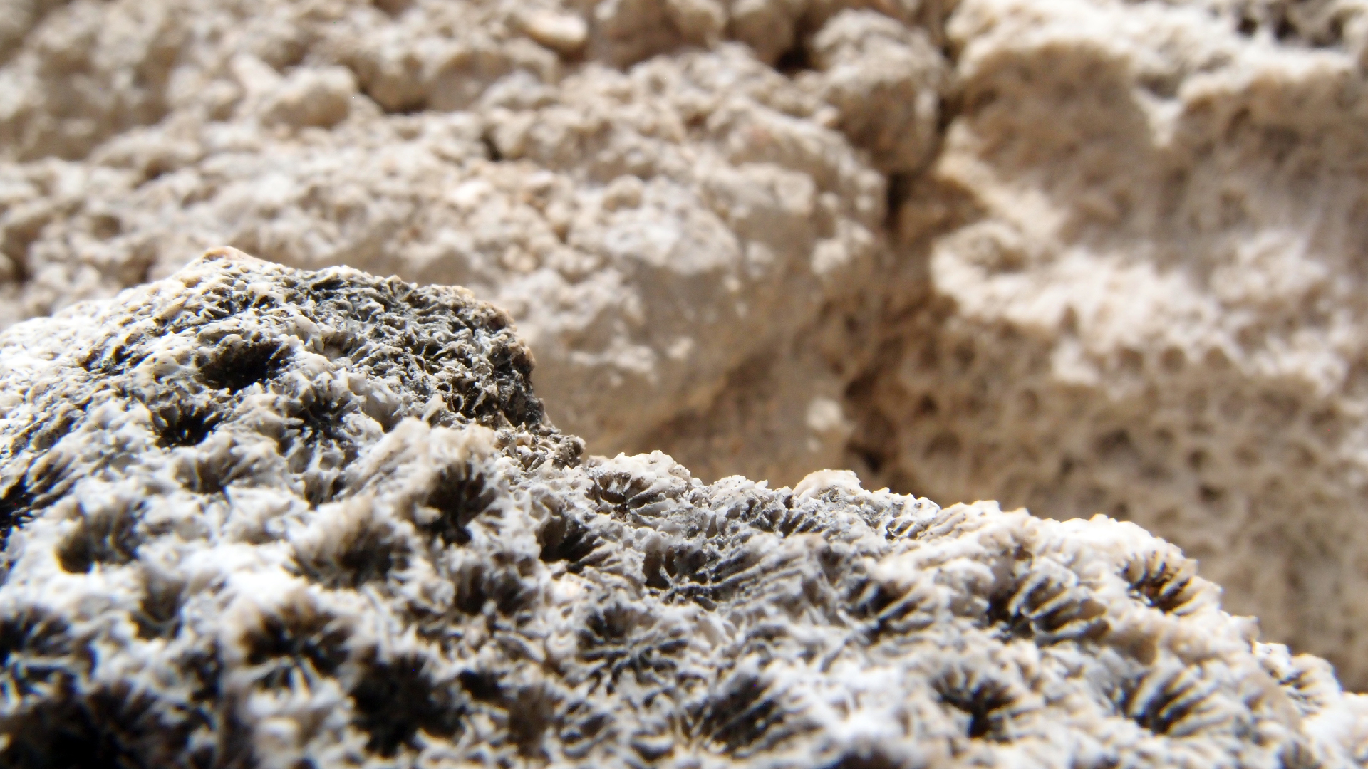 2022-04-17 Wind auf dem Meer (Audio, Foto, Video)