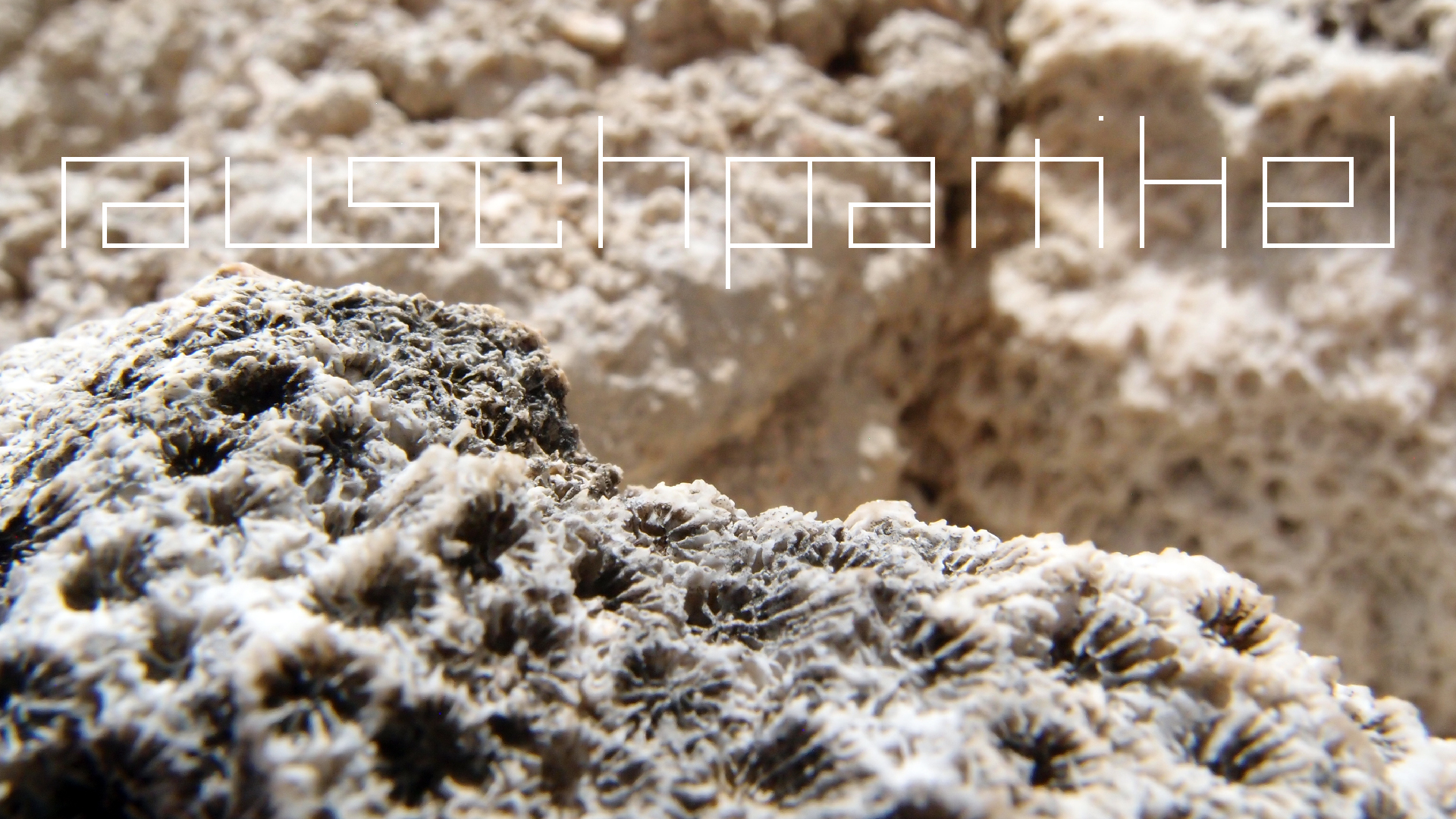 2022-04-17 Wind auf dem Meer (Audio, Foto, Video)