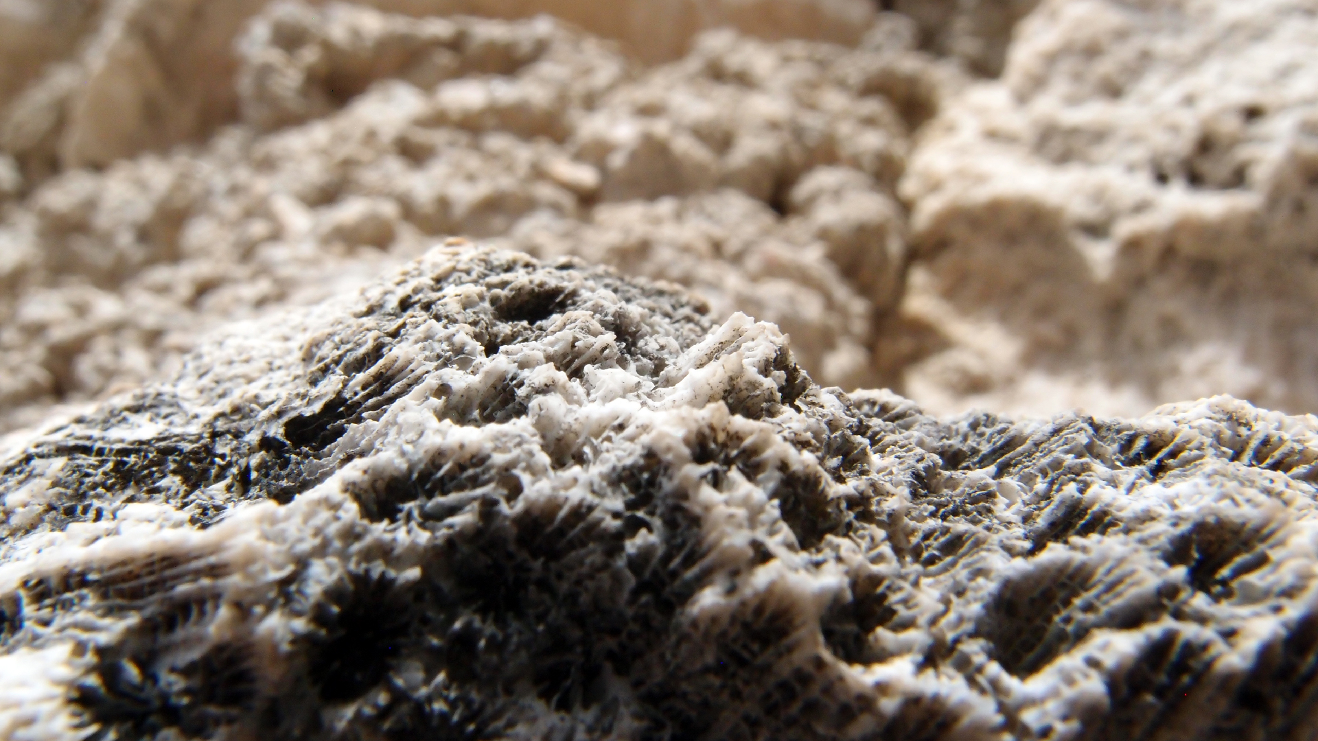 2022-04-17 Wind auf dem Meer (Audio, Foto, Video)