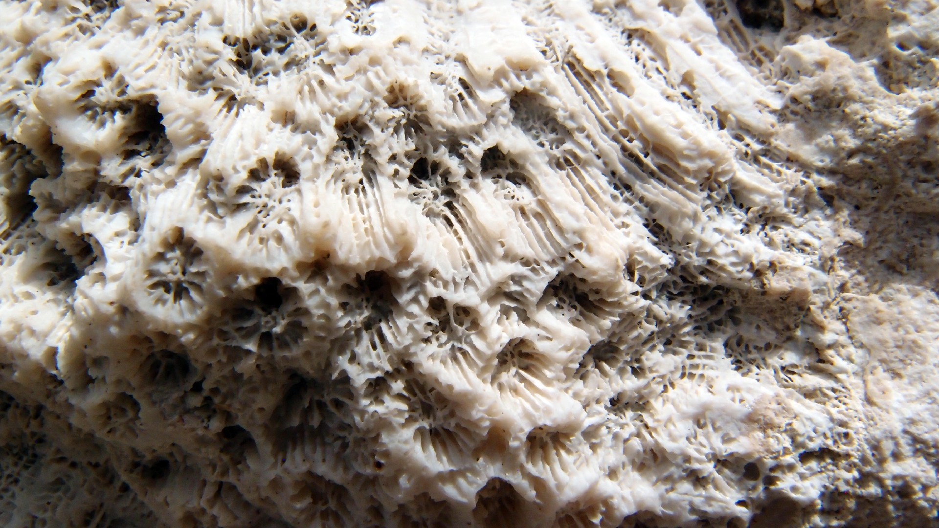 2022-04-17 Wind auf dem Meer (Audio, Foto, Video)