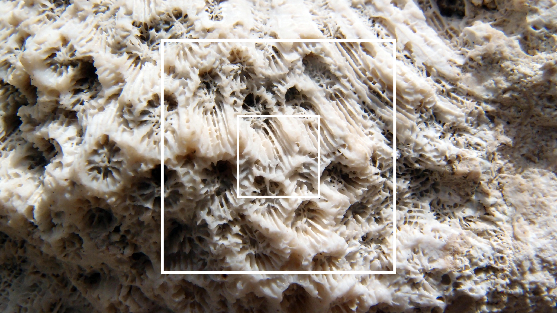 2022-04-17 Wind auf dem Meer (Audio, Foto, Video)